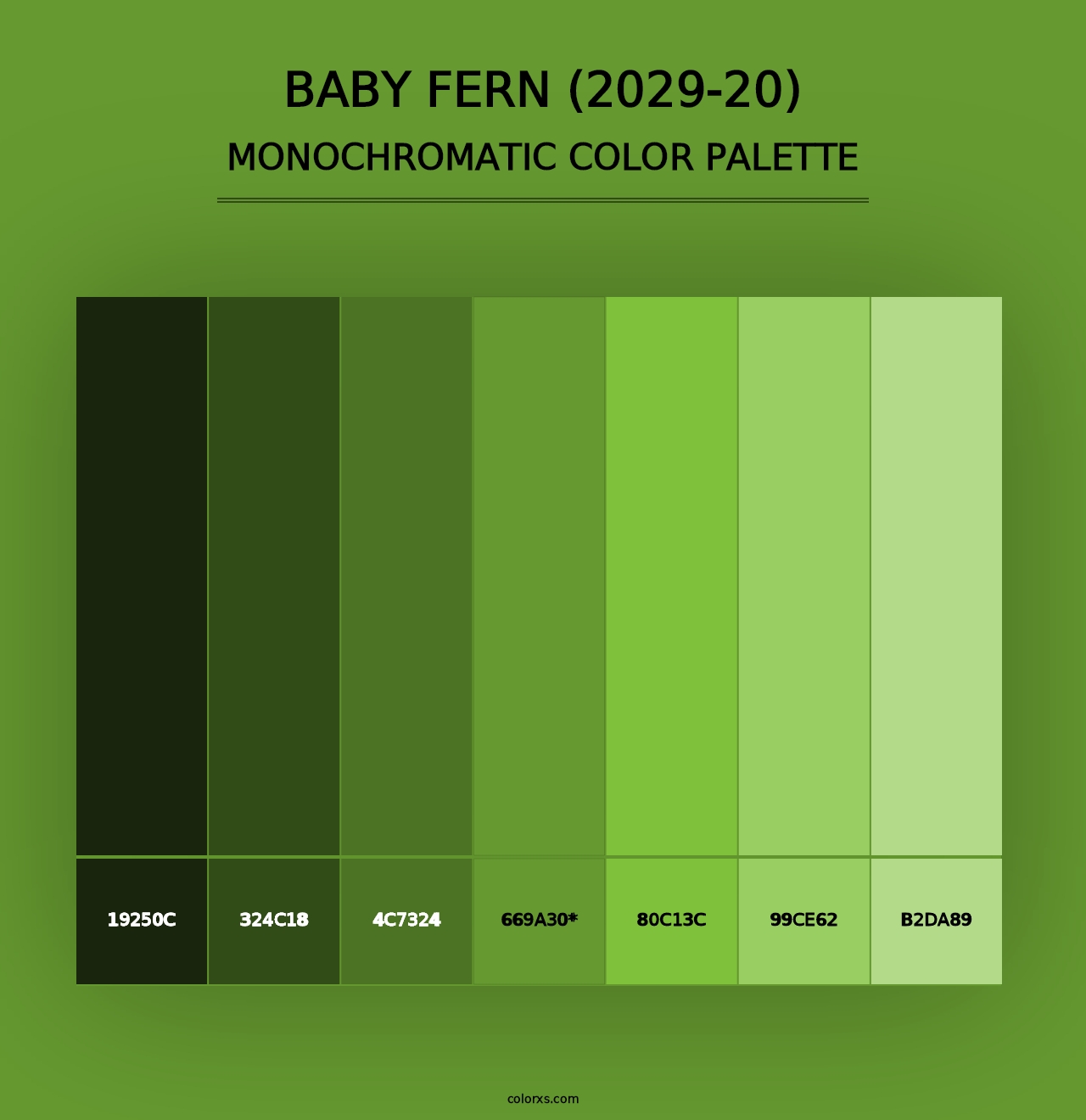 Baby Fern (2029-20) - Monochromatic Color Palette