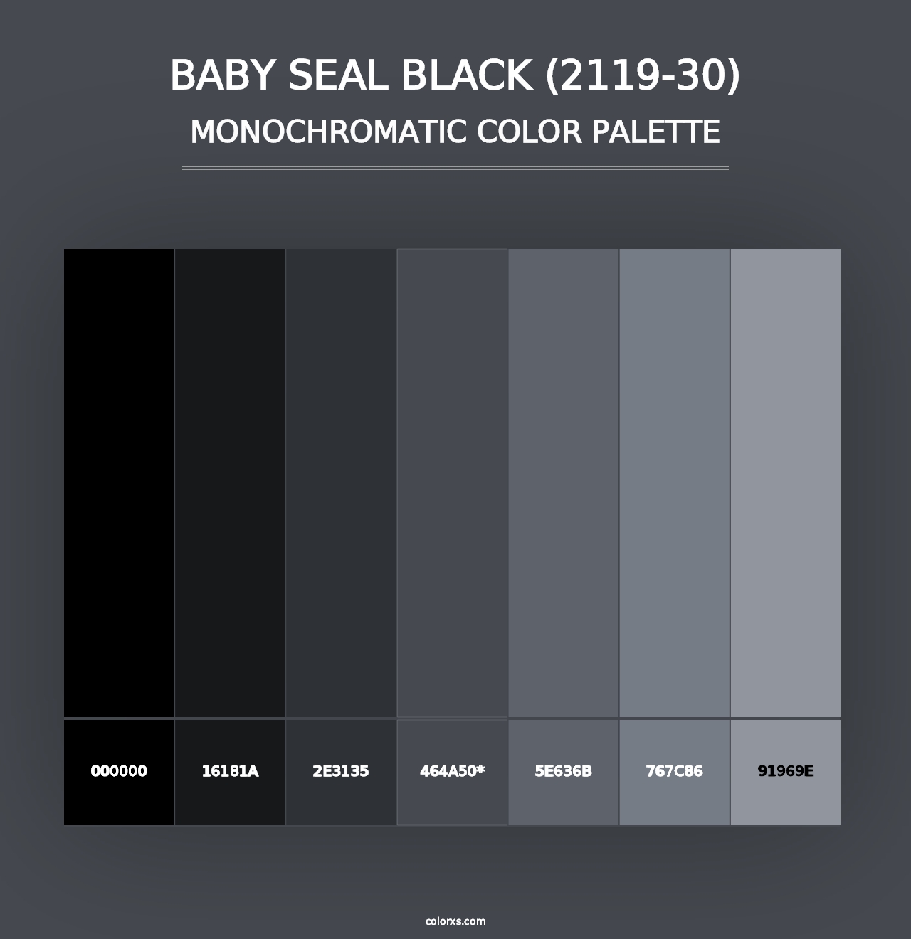 Baby Seal Black (2119-30) - Monochromatic Color Palette