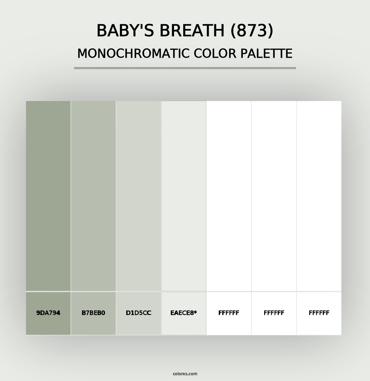 Baby's Breath (873) - Monochromatic Color Palette