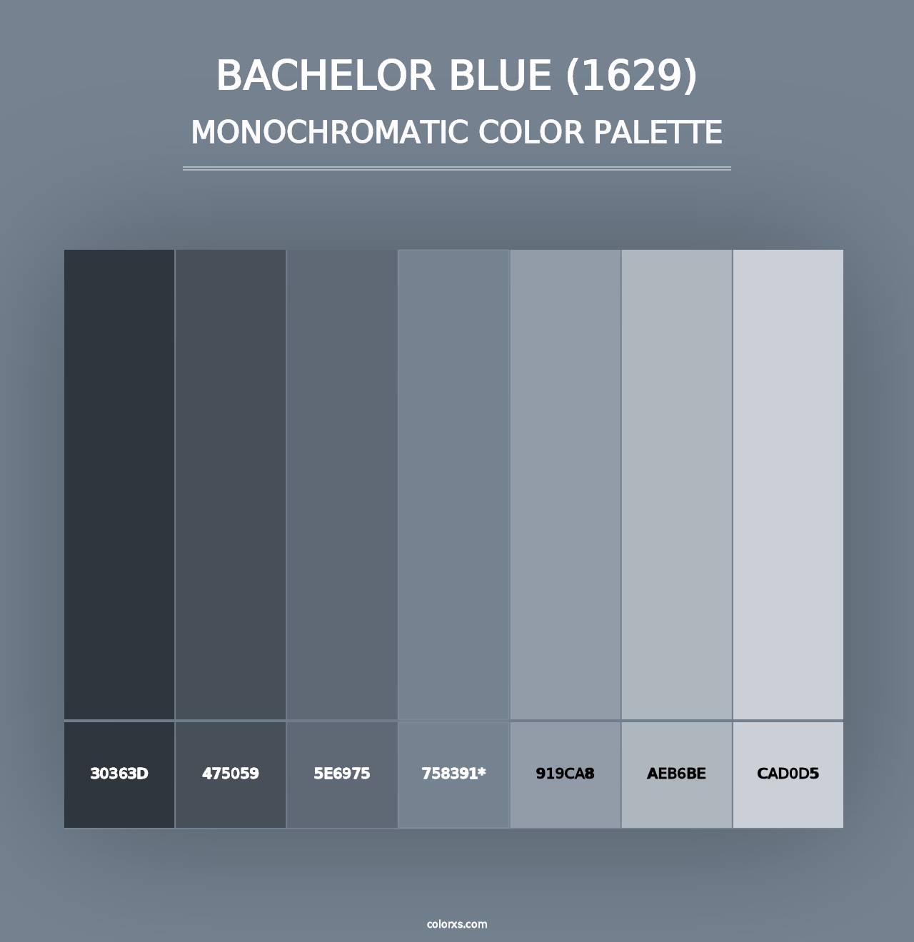 Bachelor Blue (1629) - Monochromatic Color Palette