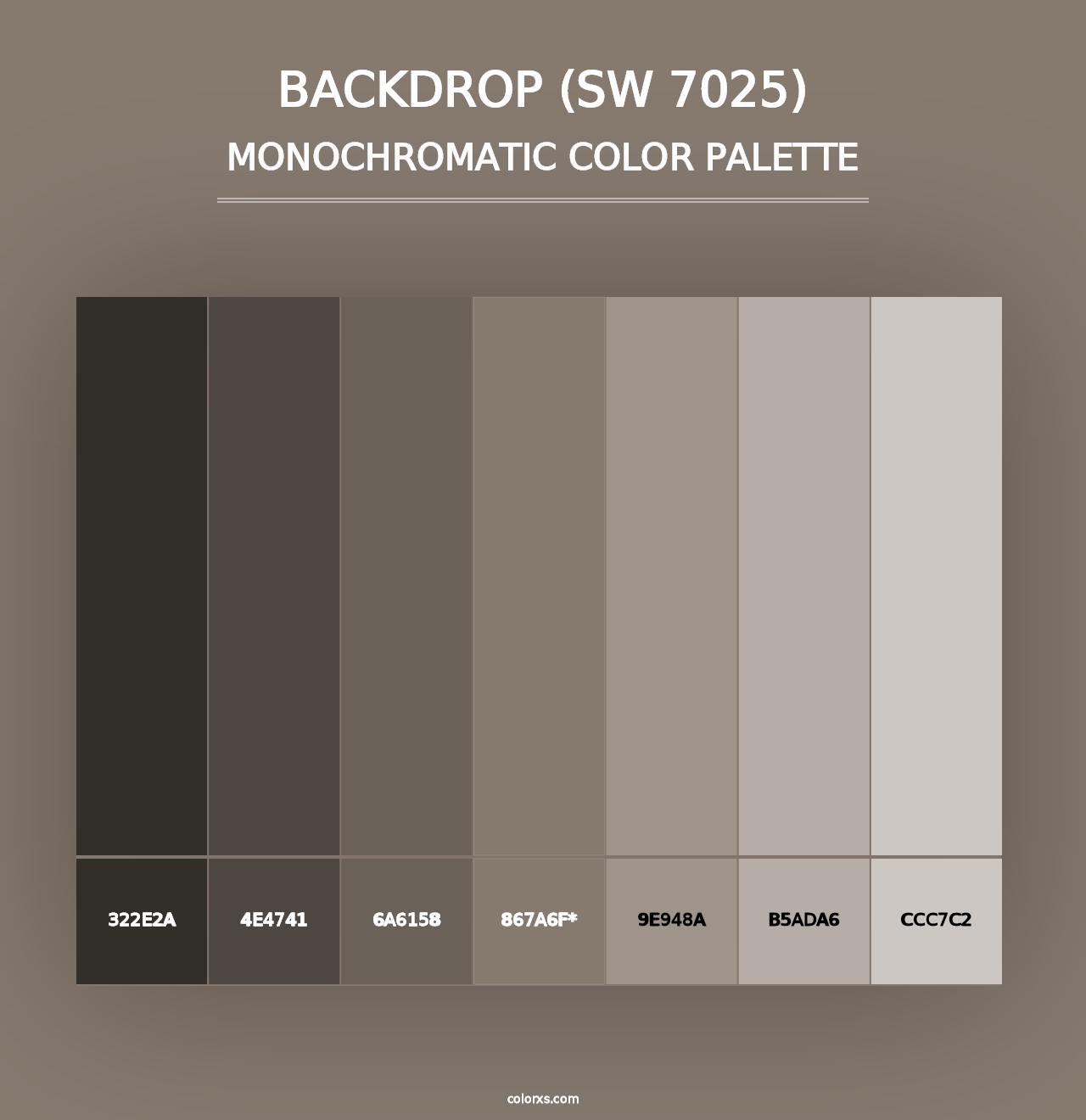 Backdrop (SW 7025) - Monochromatic Color Palette