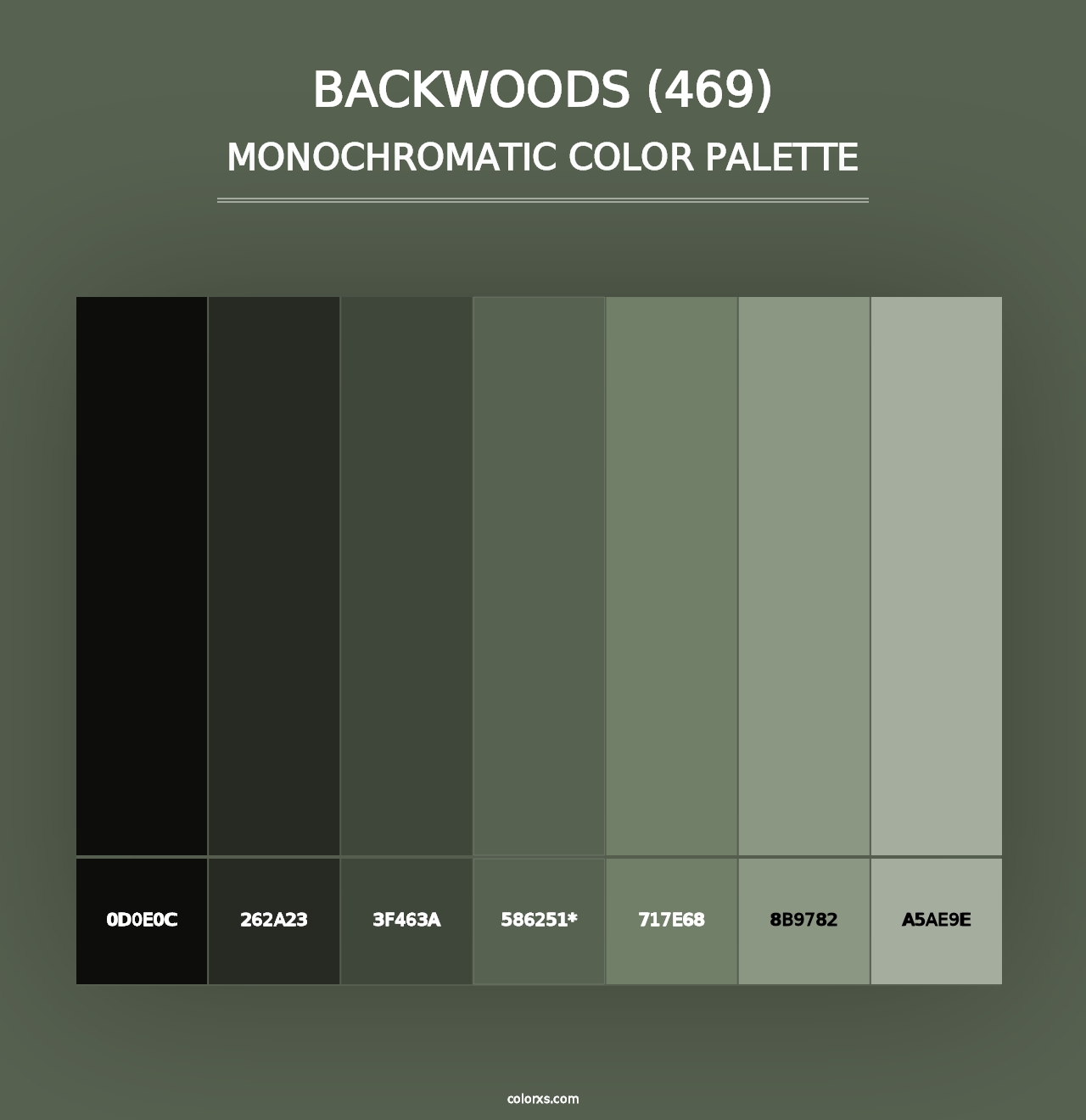 Backwoods (469) - Monochromatic Color Palette