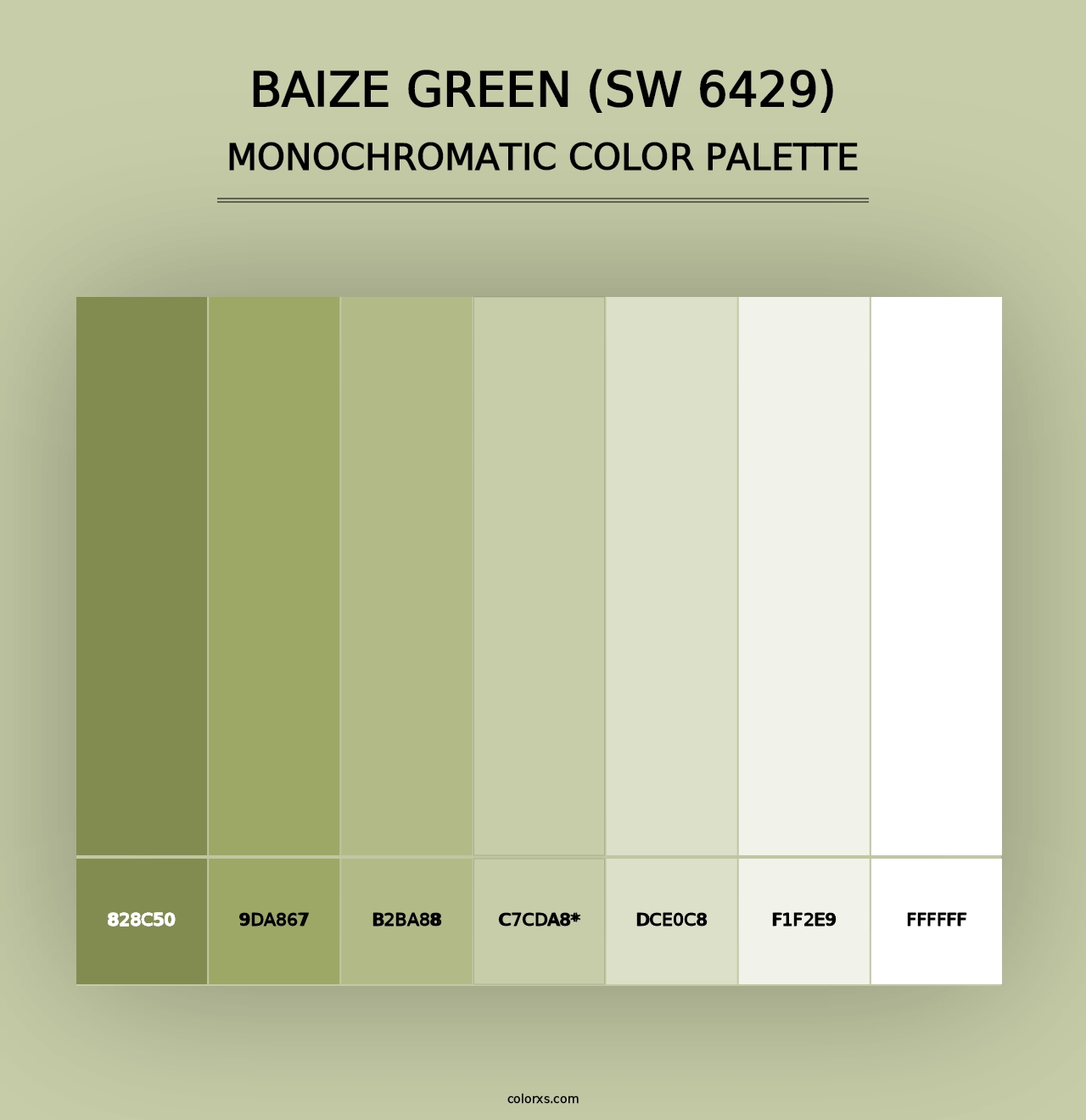 Baize Green (SW 6429) - Monochromatic Color Palette