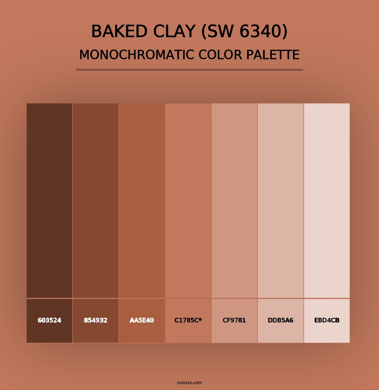 Baked Clay (SW 6340) - Monochromatic Color Palette