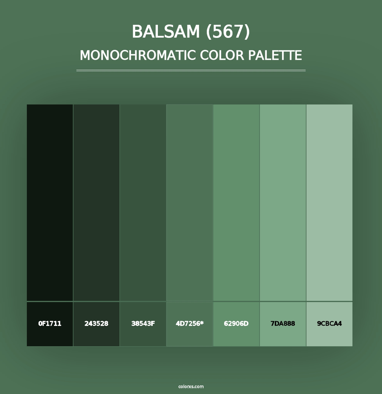 Balsam (567) - Monochromatic Color Palette