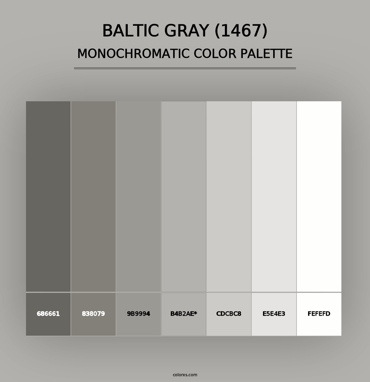 Baltic Gray (1467) - Monochromatic Color Palette