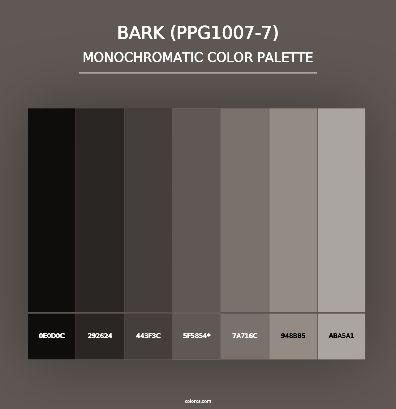 Bark (PPG1007-7) - Monochromatic Color Palette