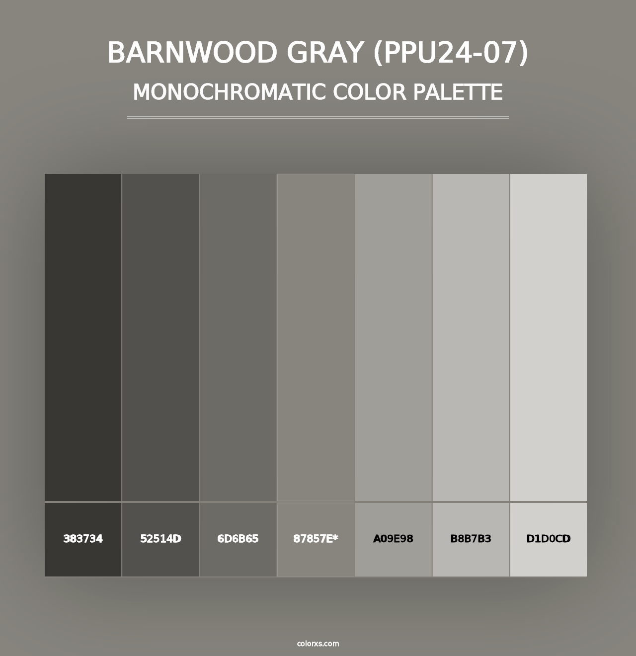 Barnwood Gray (PPU24-07) - Monochromatic Color Palette