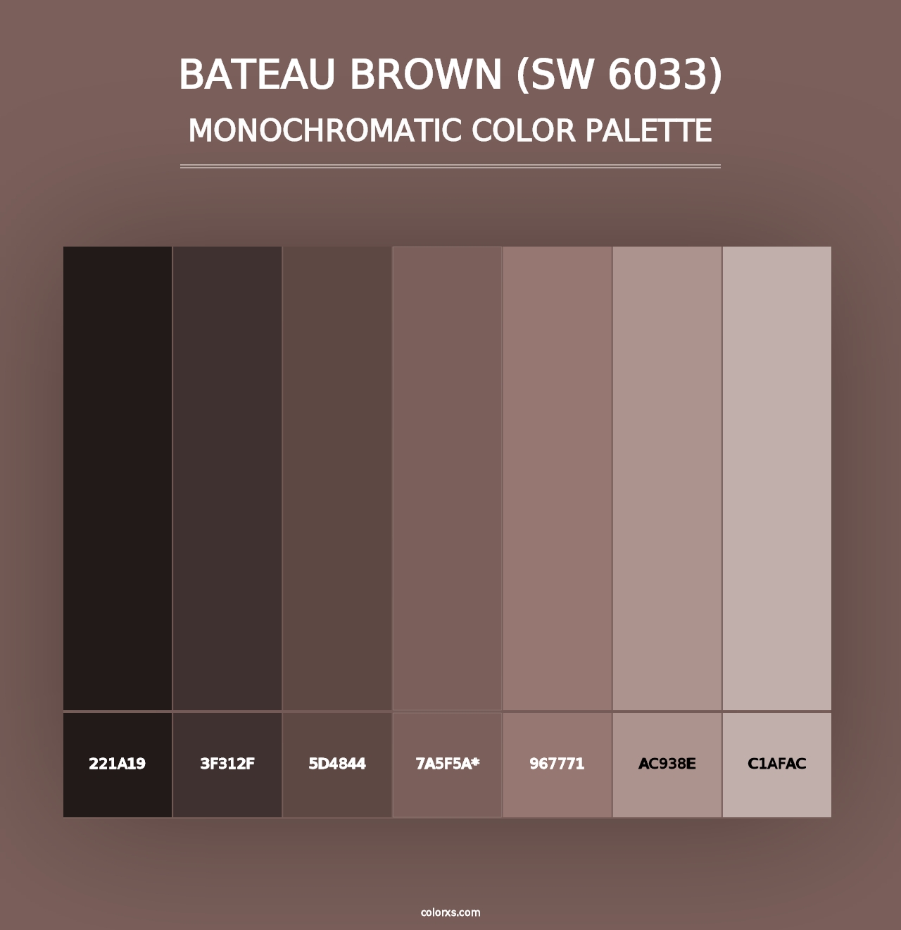 Bateau Brown (SW 6033) - Monochromatic Color Palette