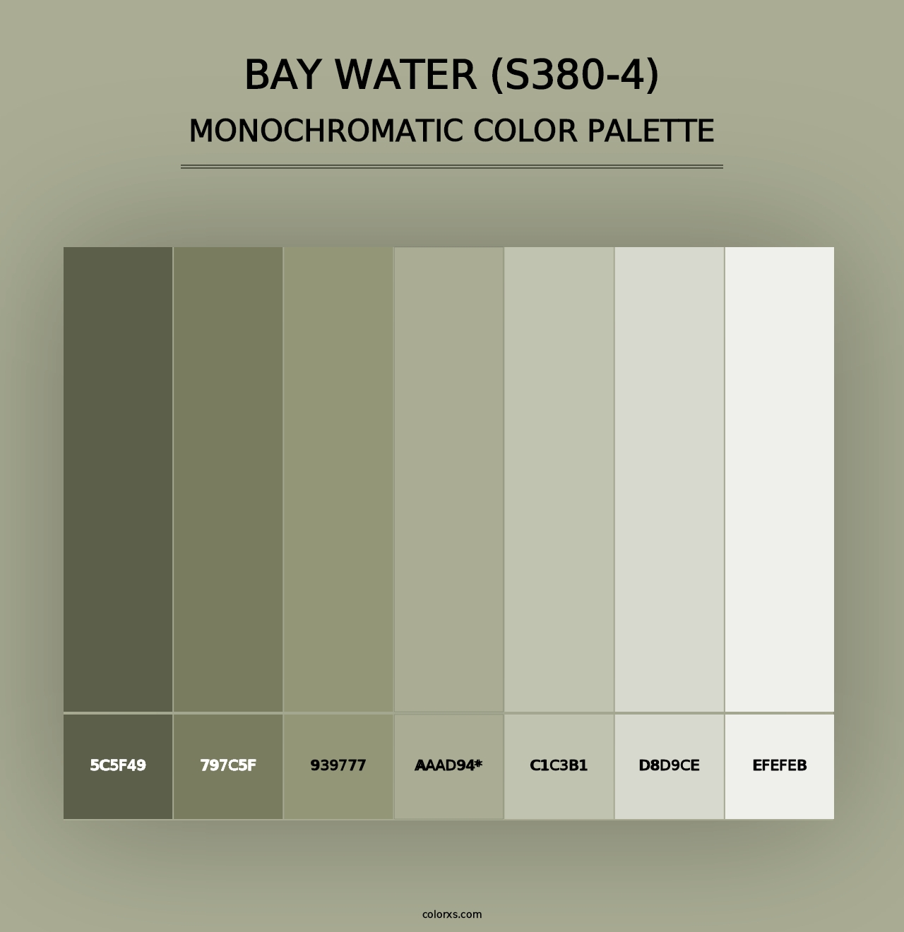 Bay Water (S380-4) - Monochromatic Color Palette