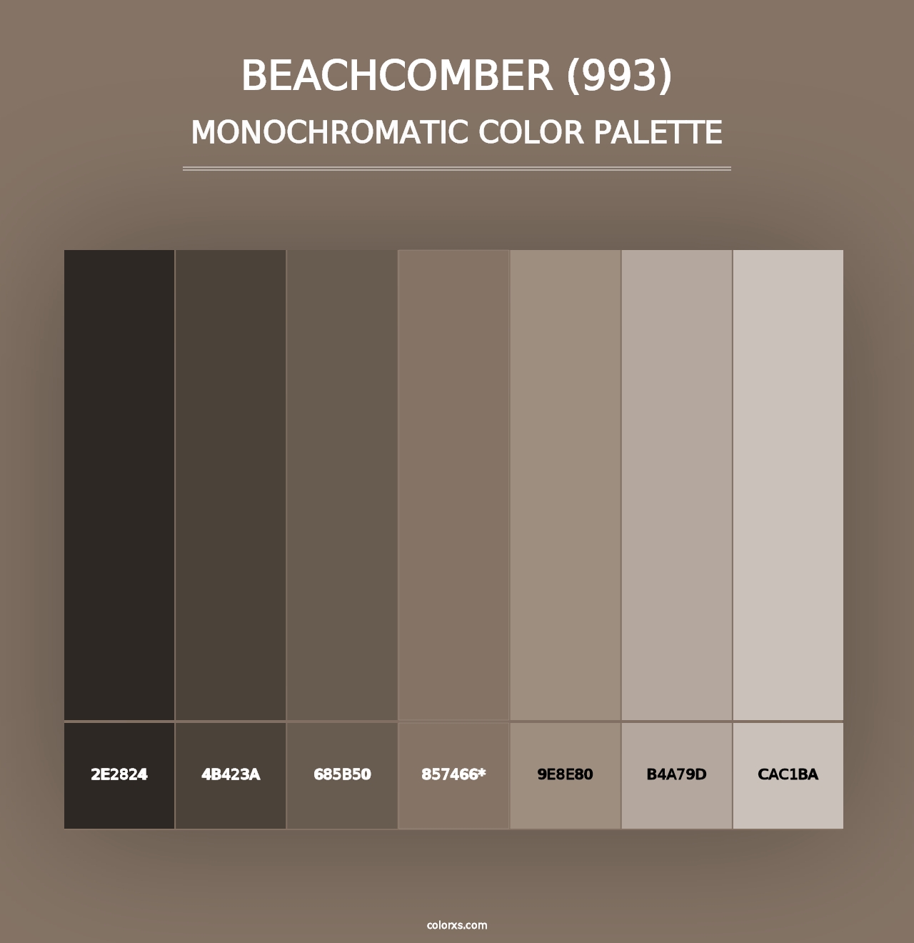 Beachcomber (993) - Monochromatic Color Palette