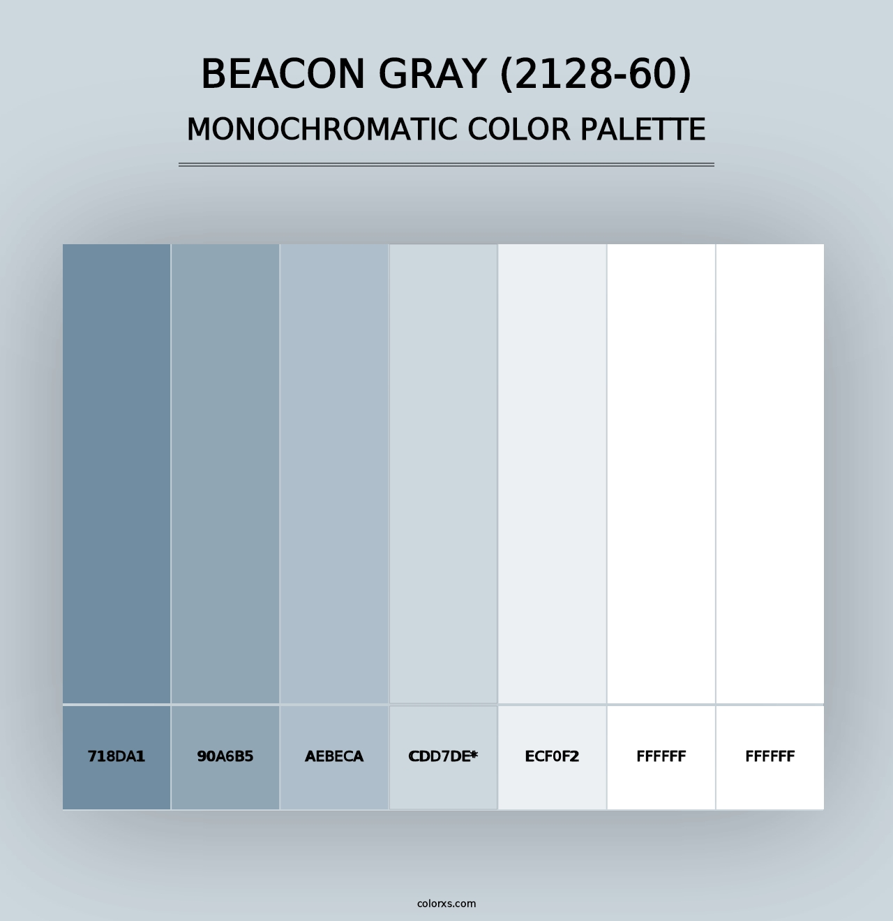 Beacon Gray (2128-60) - Monochromatic Color Palette