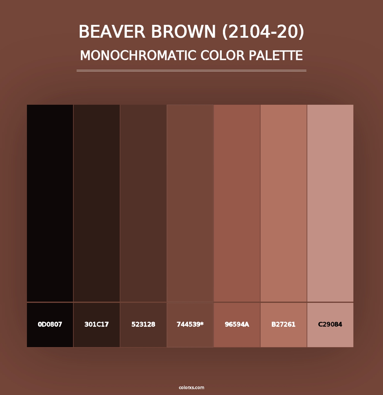 Beaver Brown (2104-20) - Monochromatic Color Palette