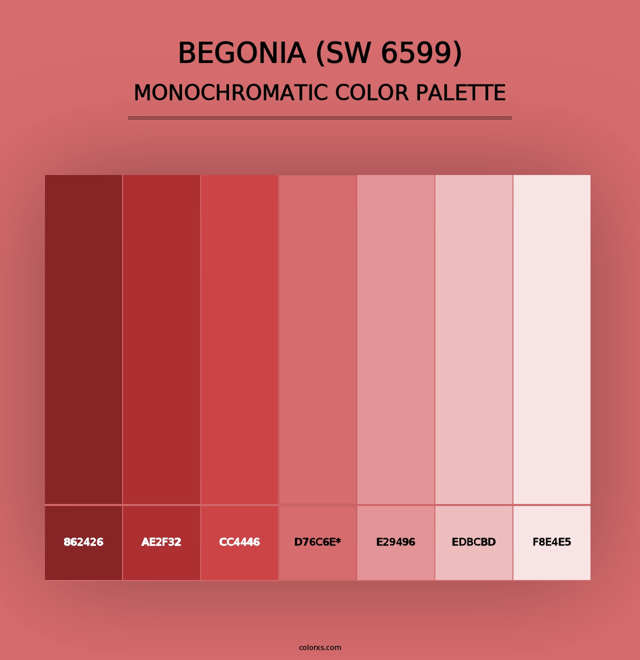 Begonia (SW 6599) - Monochromatic Color Palette