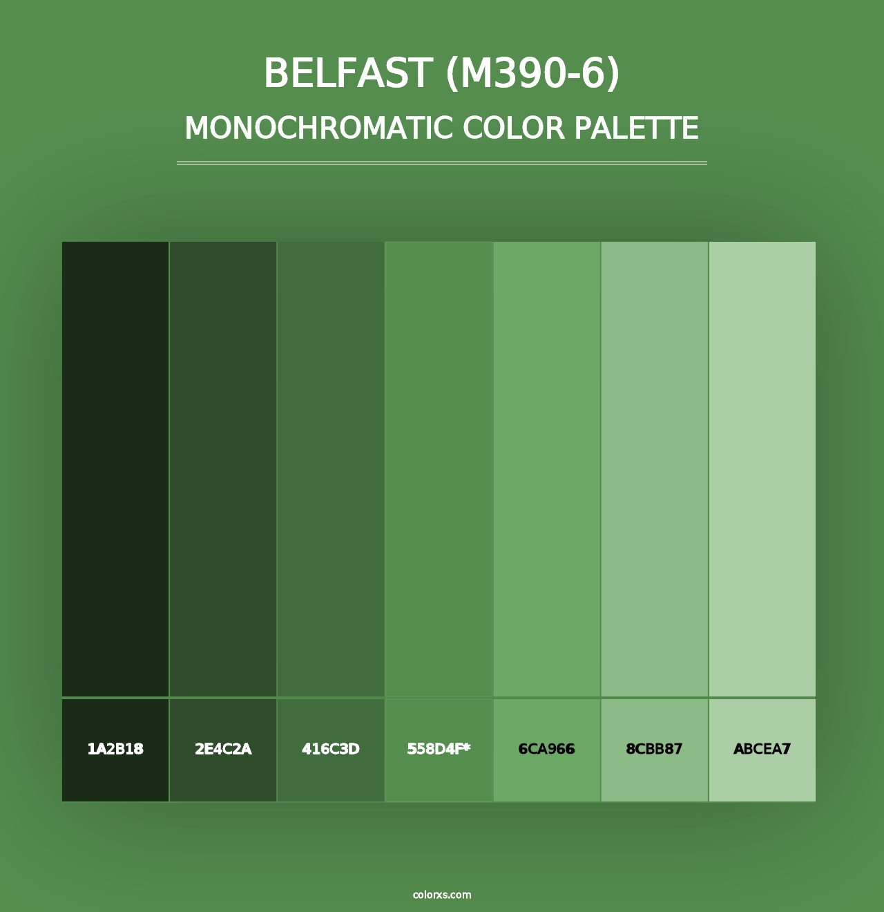 Belfast (M390-6) - Monochromatic Color Palette