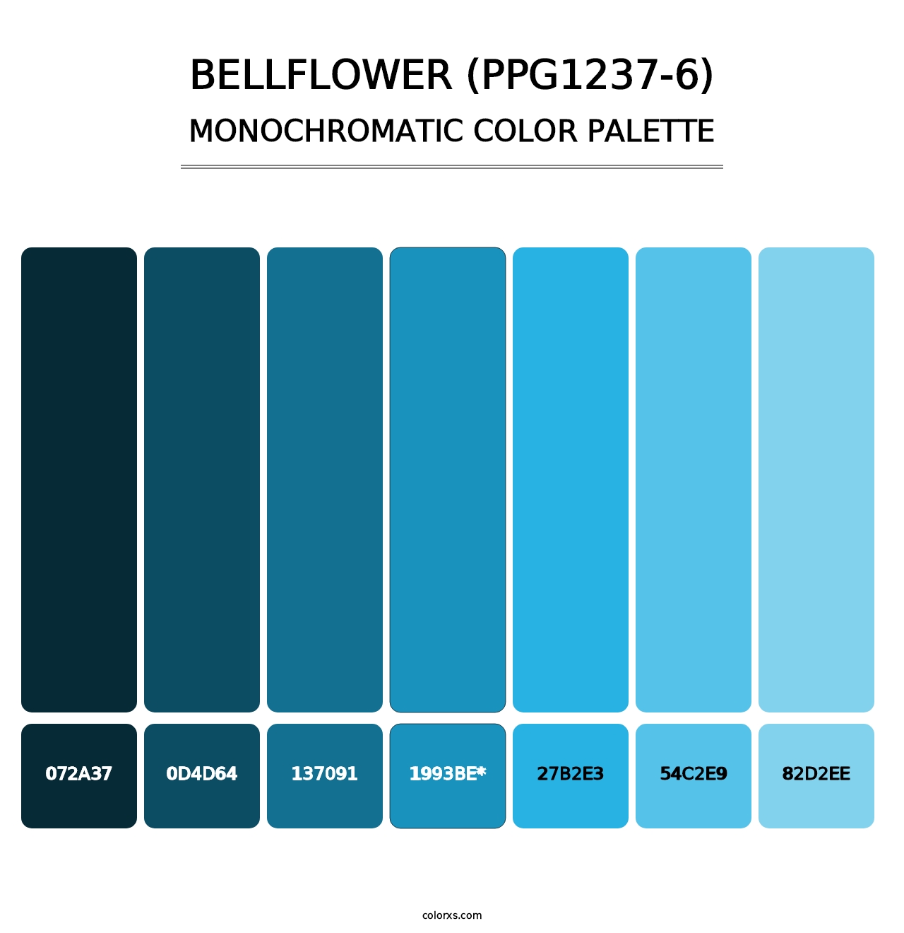 Bellflower (PPG1237-6) - Monochromatic Color Palette