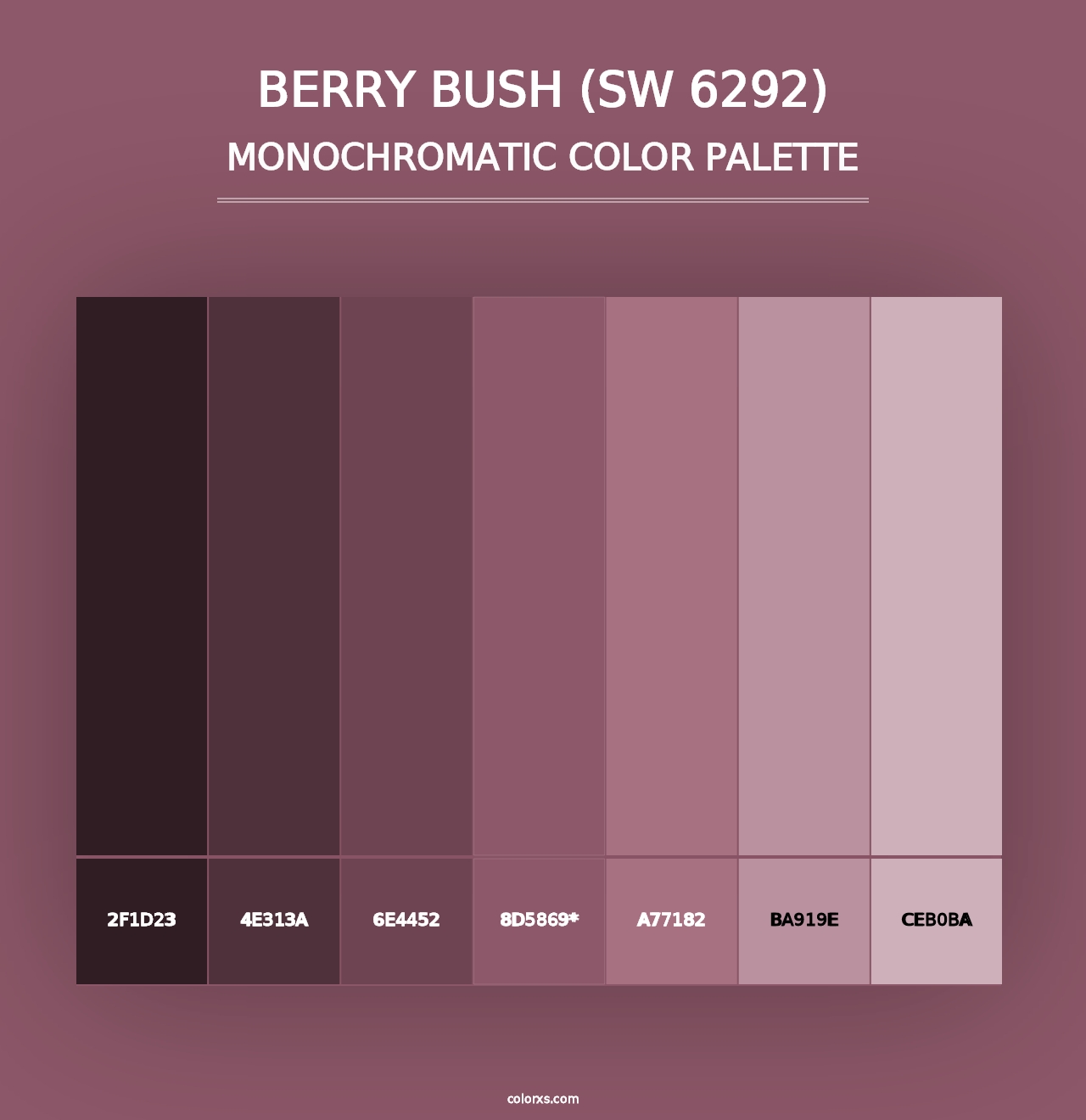 Berry Bush (SW 6292) - Monochromatic Color Palette