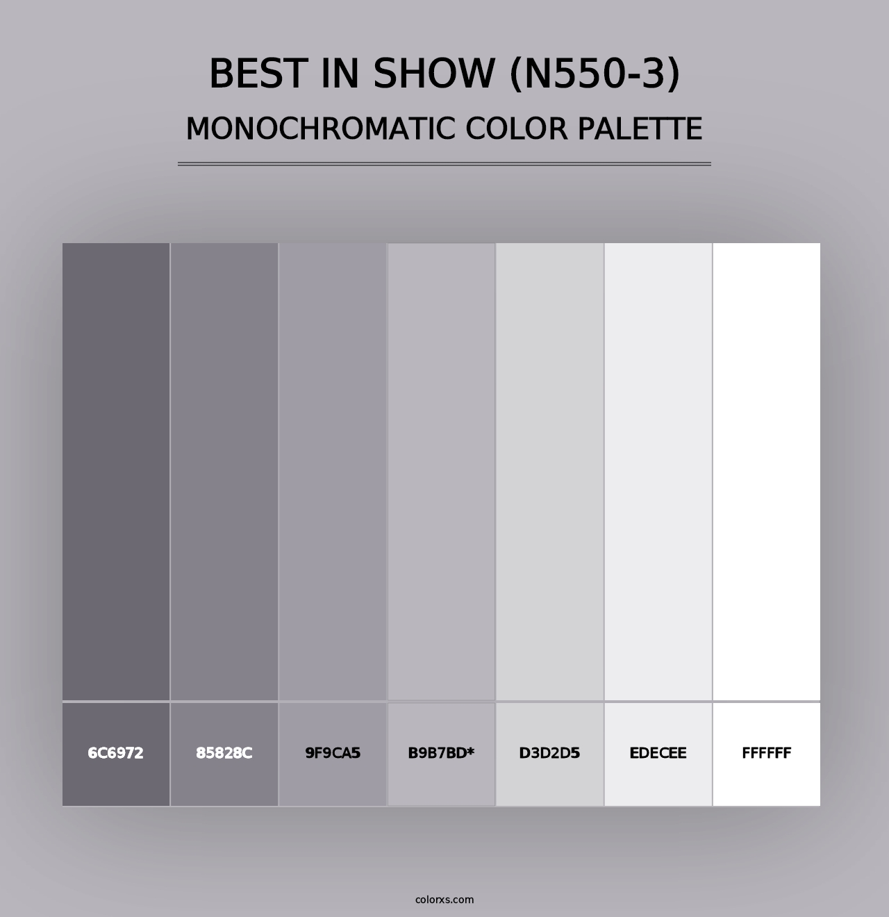 Best In Show (N550-3) - Monochromatic Color Palette