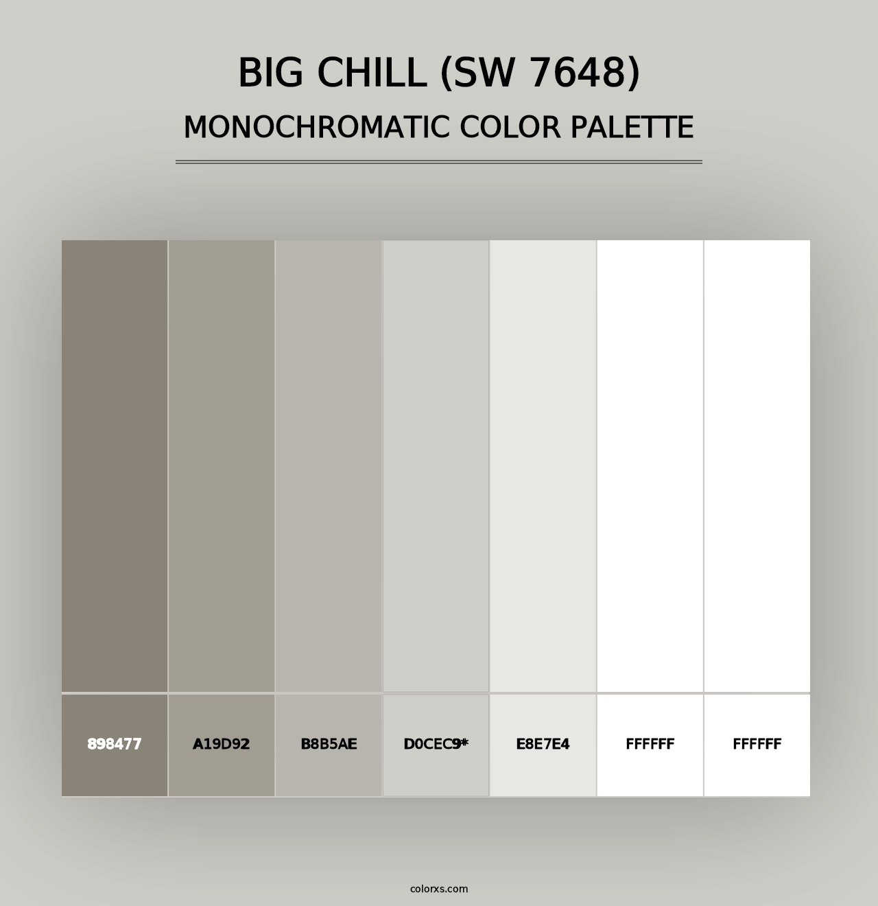 Big Chill (SW 7648) - Monochromatic Color Palette