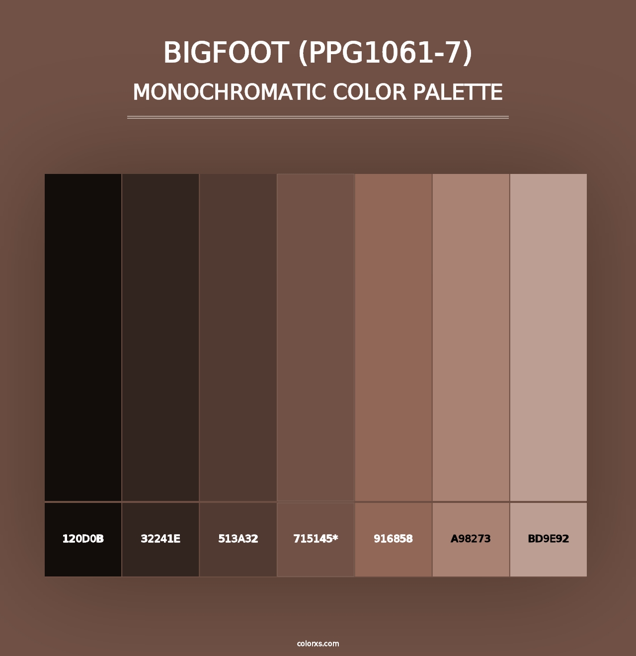 Bigfoot (PPG1061-7) - Monochromatic Color Palette