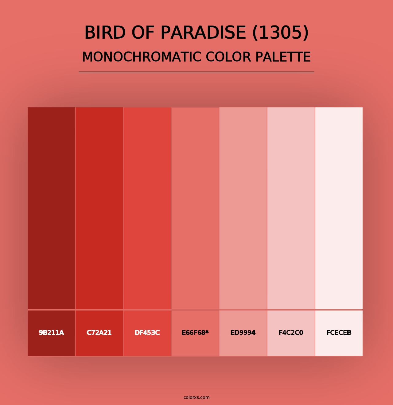 Bird of Paradise (1305) - Monochromatic Color Palette