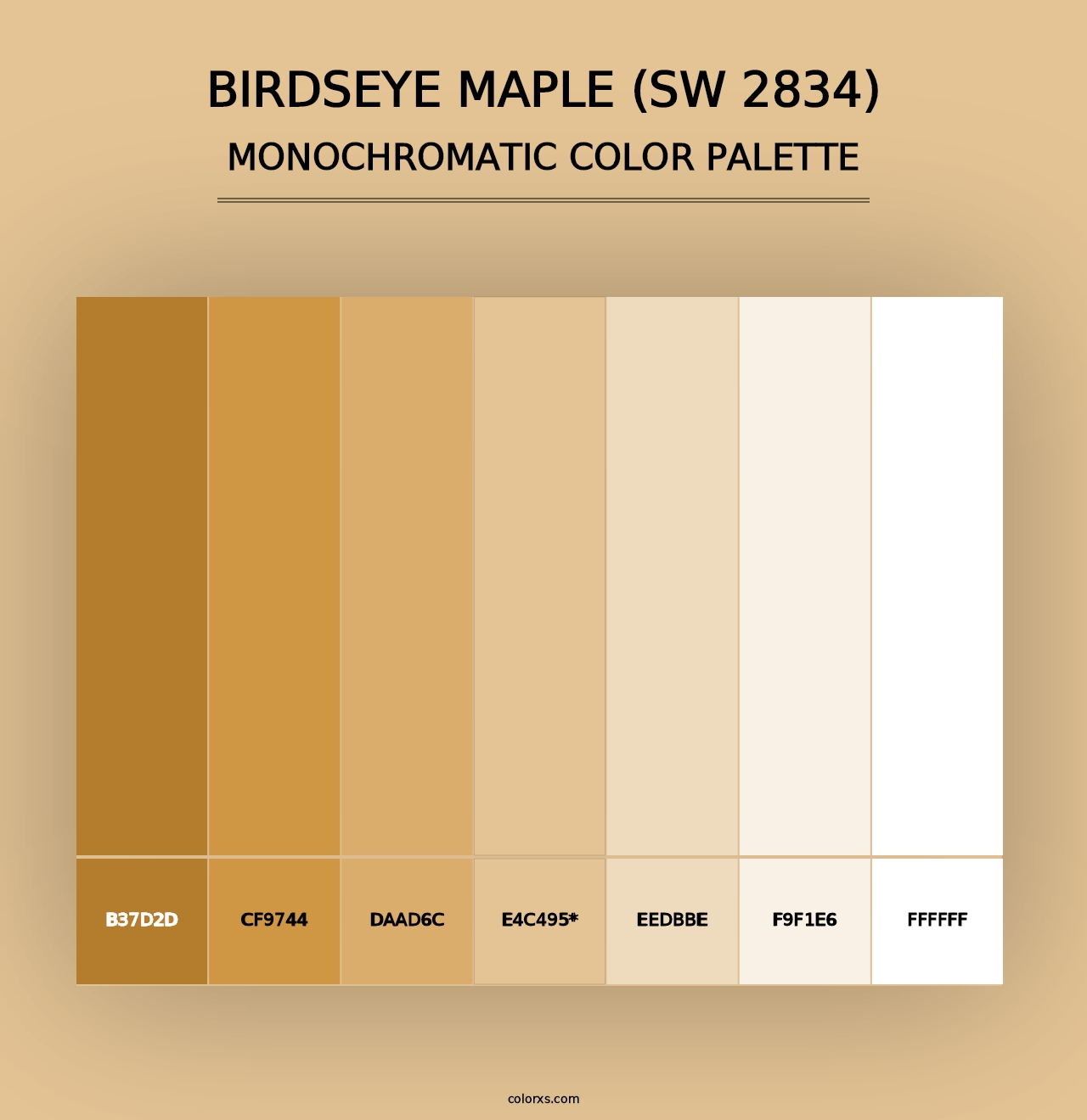 Birdseye Maple (SW 2834) - Monochromatic Color Palette