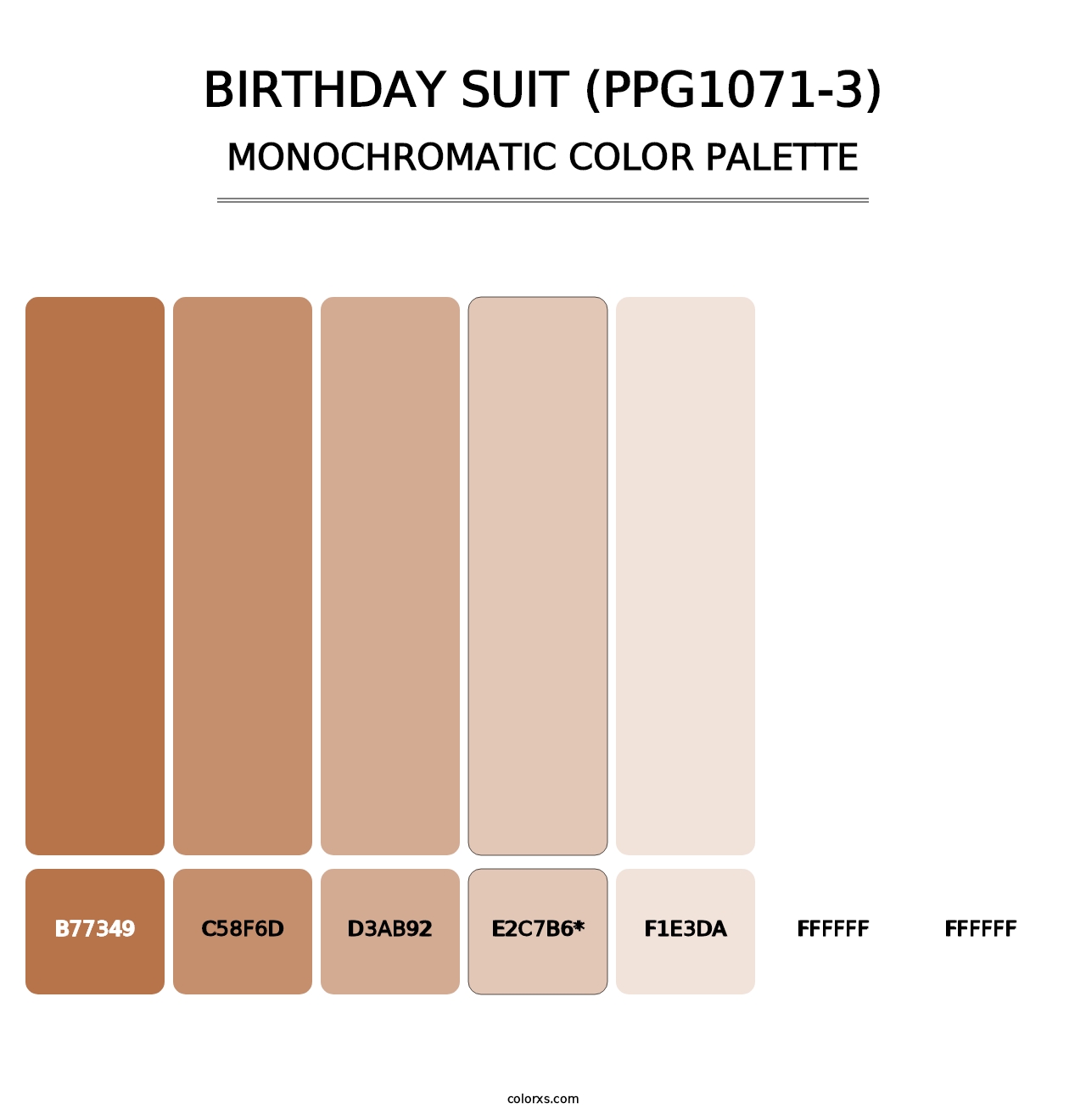 Birthday Suit (PPG1071-3) - Monochromatic Color Palette