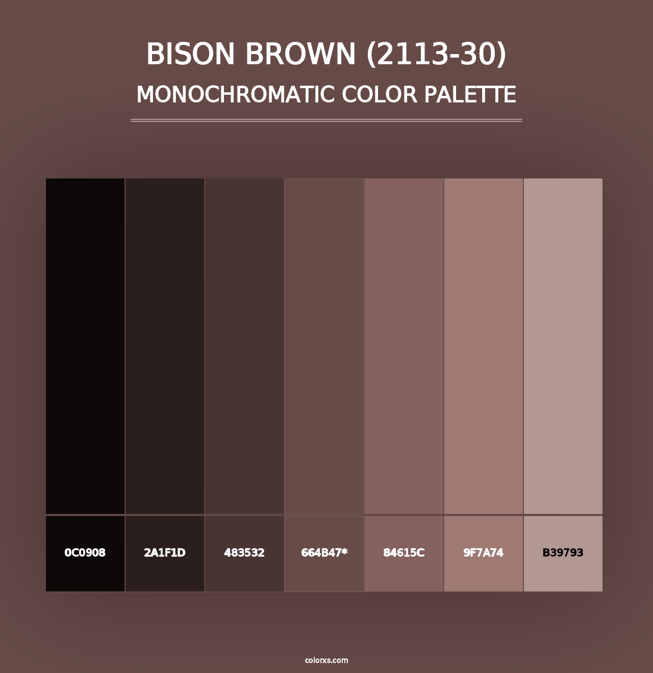 Bison Brown (2113-30) - Monochromatic Color Palette