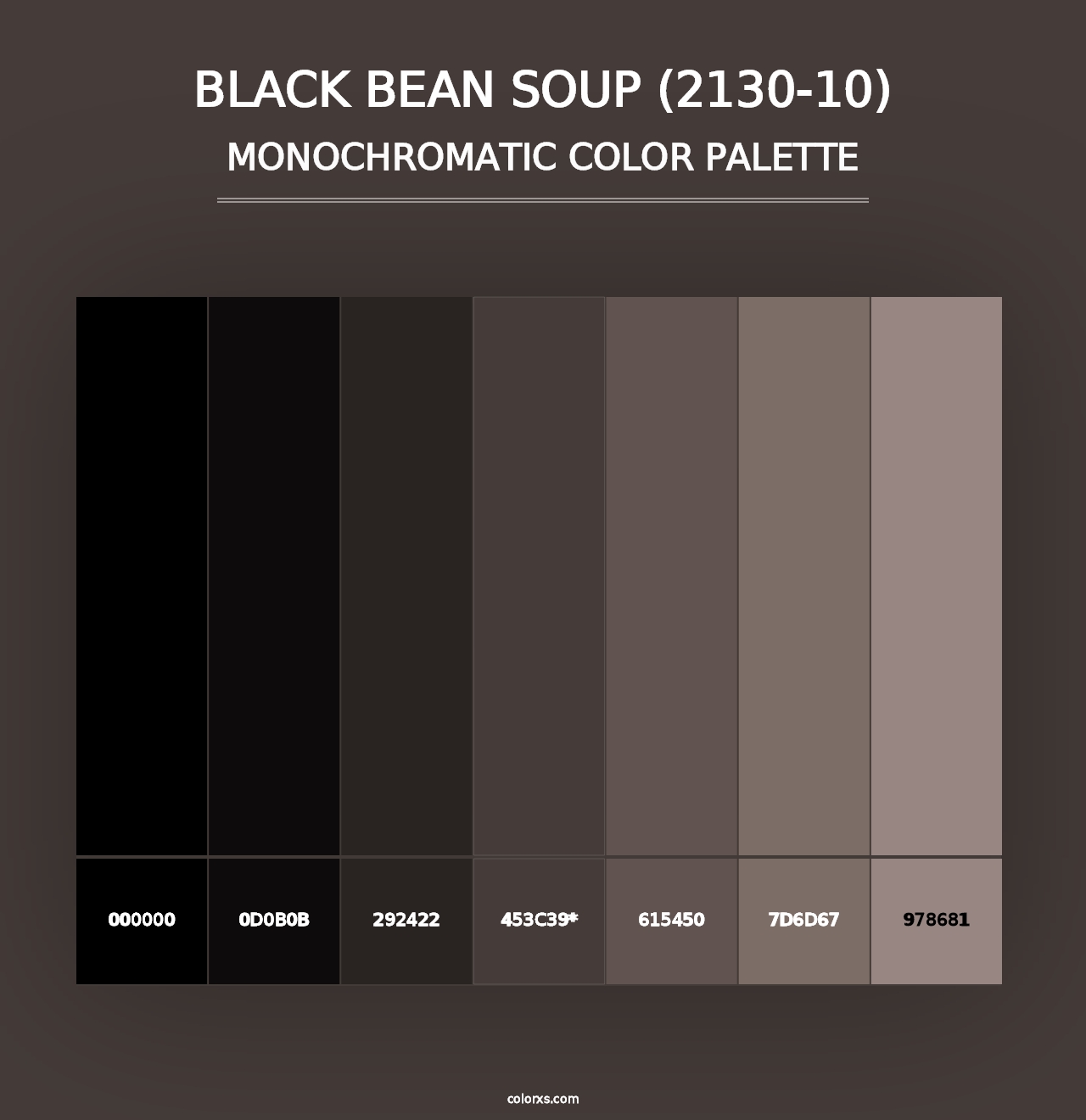 Black Bean Soup (2130-10) - Monochromatic Color Palette