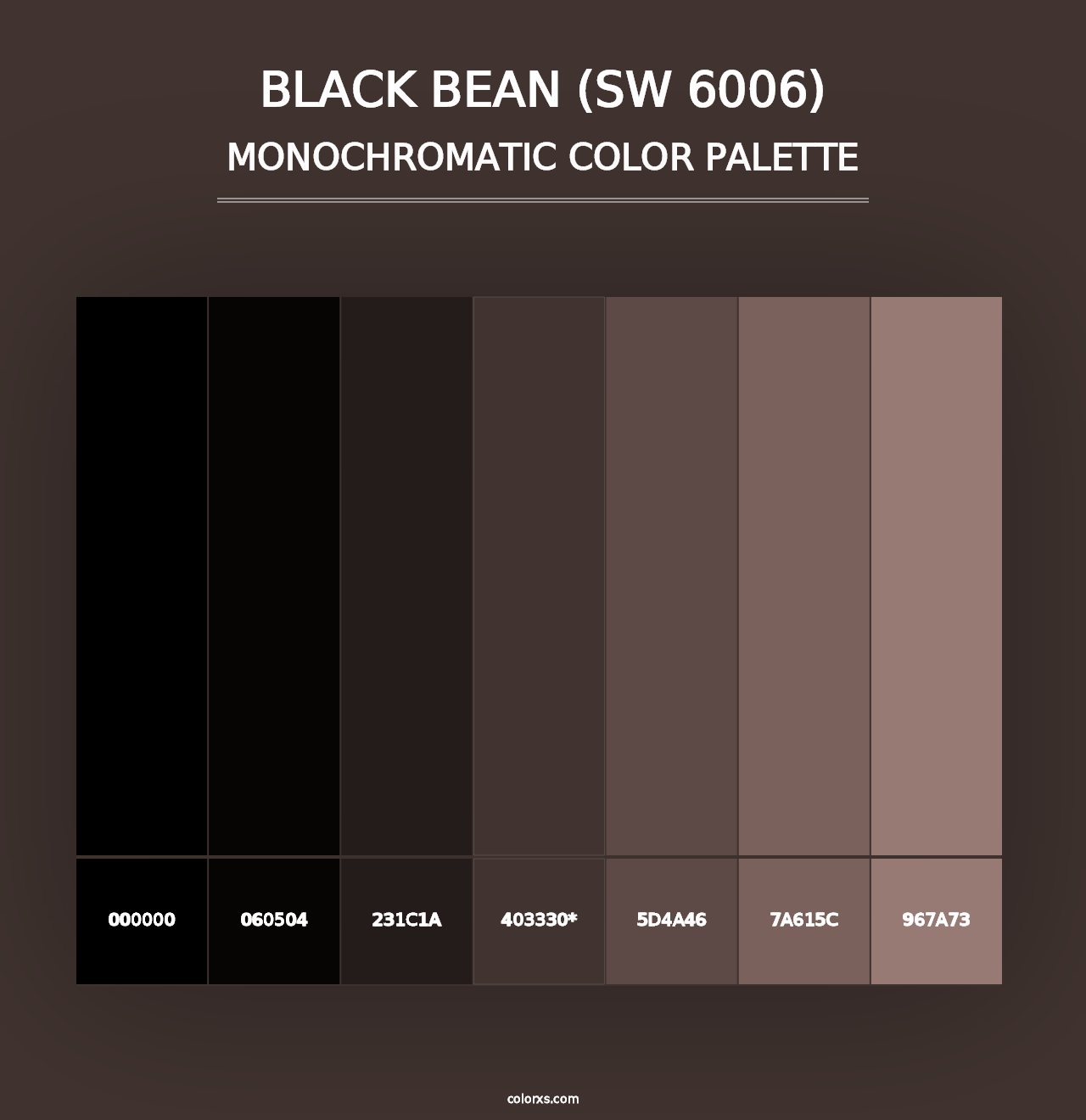 Black Bean (SW 6006) - Monochromatic Color Palette