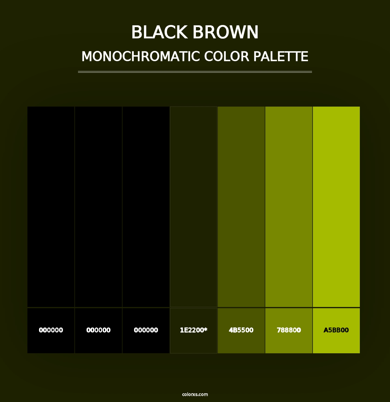 Black Brown - Monochromatic Color Palette