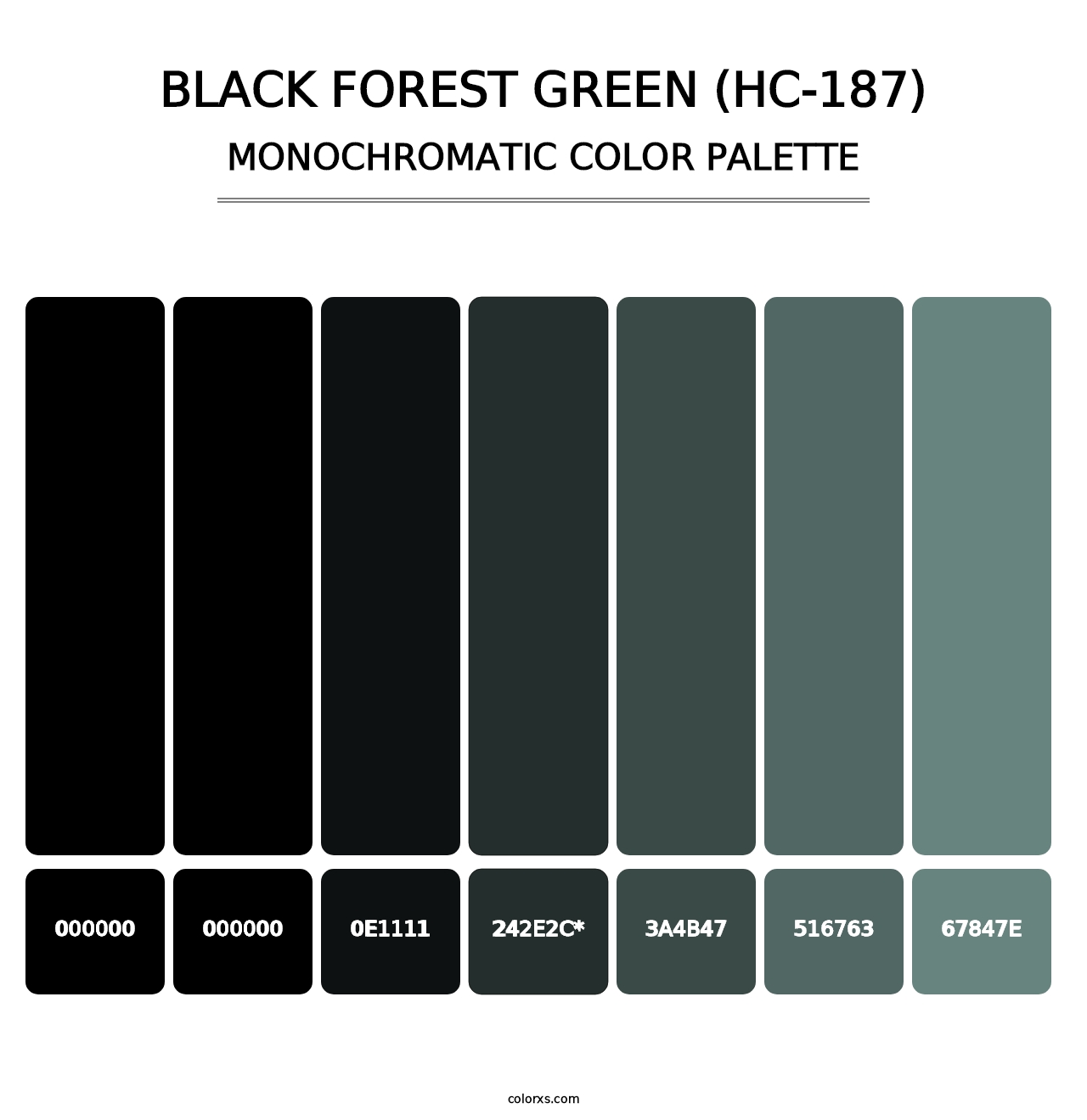 Black Forest Green (HC-187) - Monochromatic Color Palette