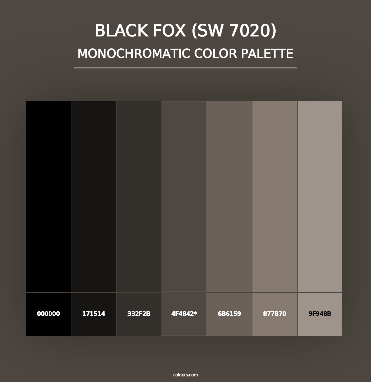 Black Fox (SW 7020) - Monochromatic Color Palette