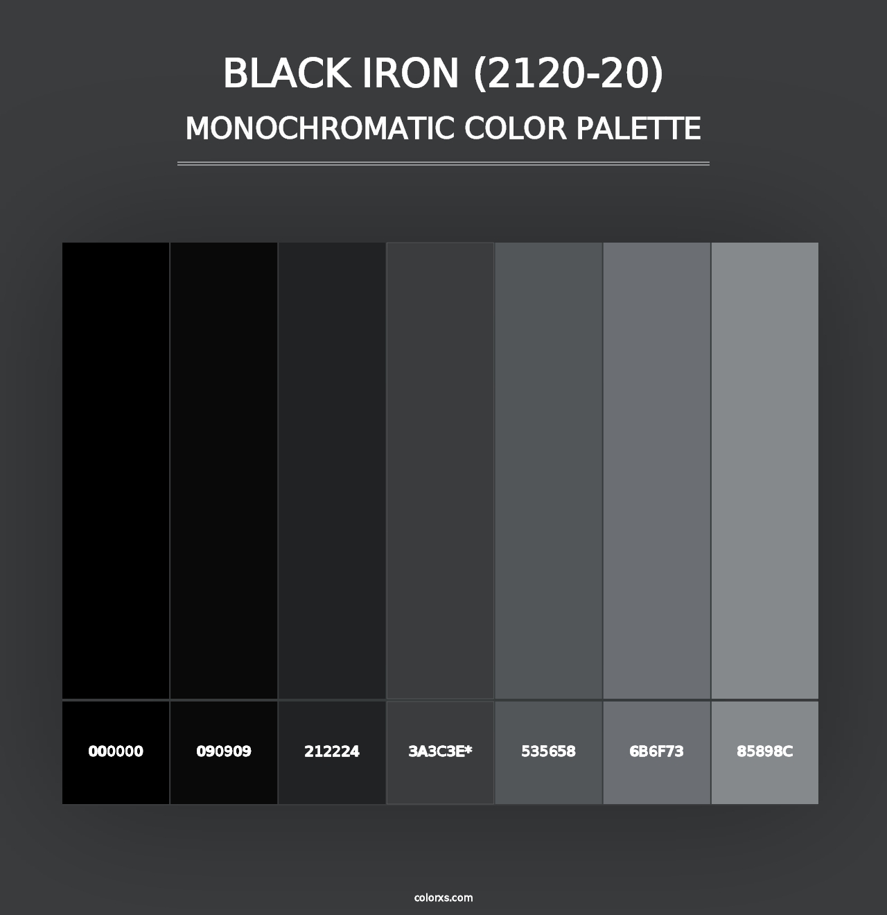 Black Iron (2120-20) - Monochromatic Color Palette