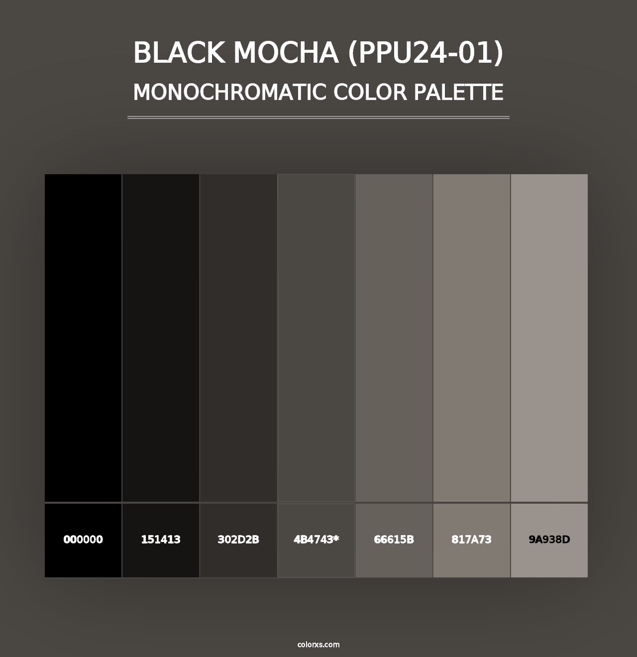 Black Mocha (PPU24-01) - Monochromatic Color Palette