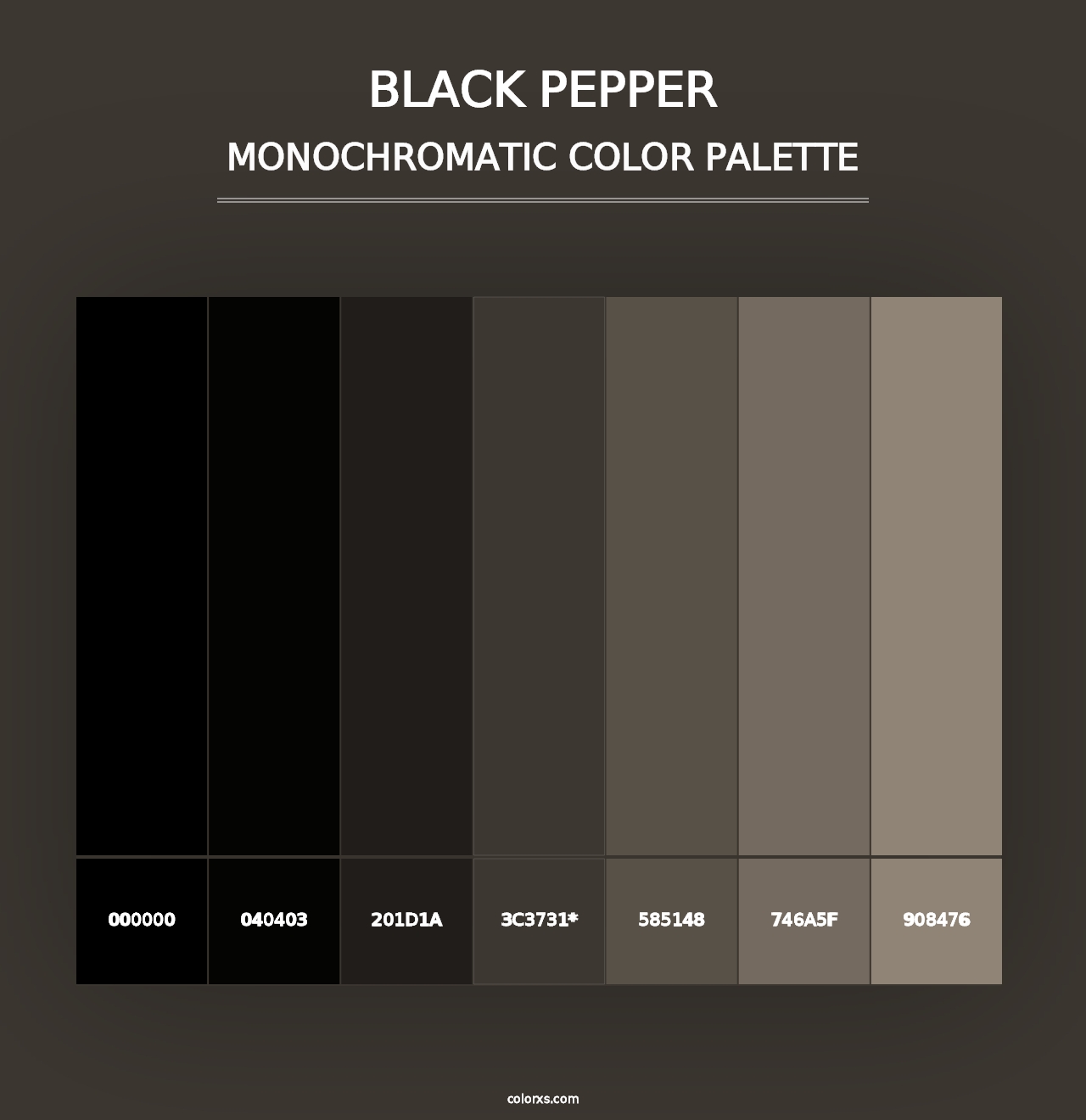 Black Pepper - Monochromatic Color Palette