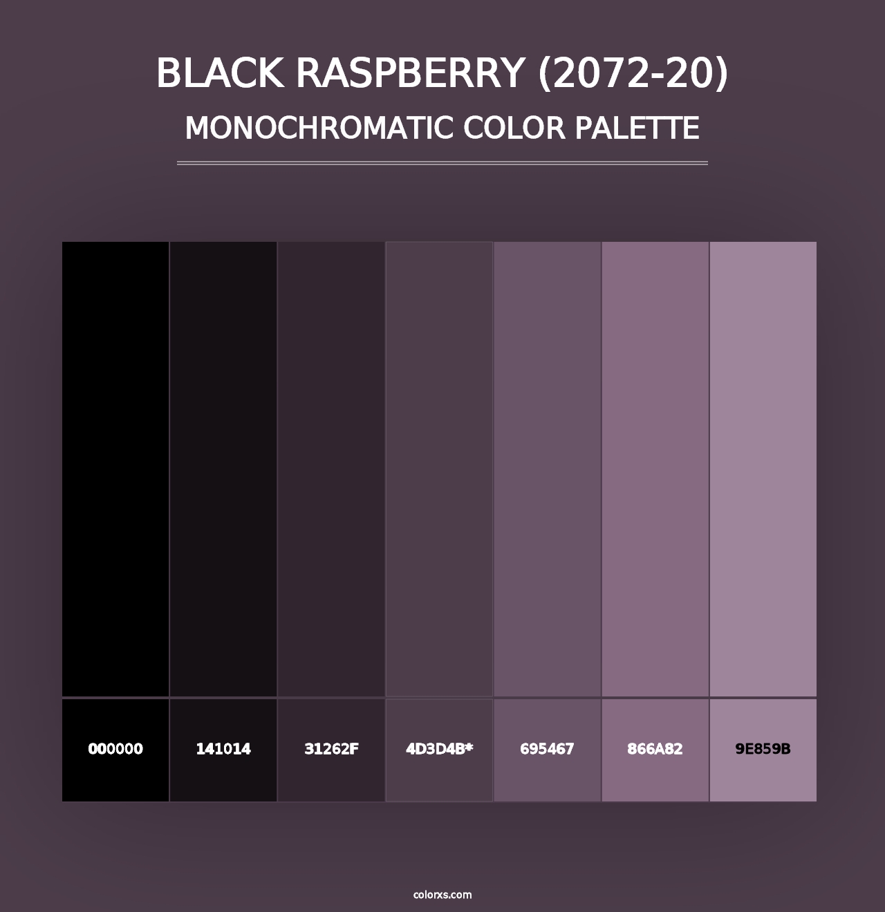 Black Raspberry (2072-20) - Monochromatic Color Palette