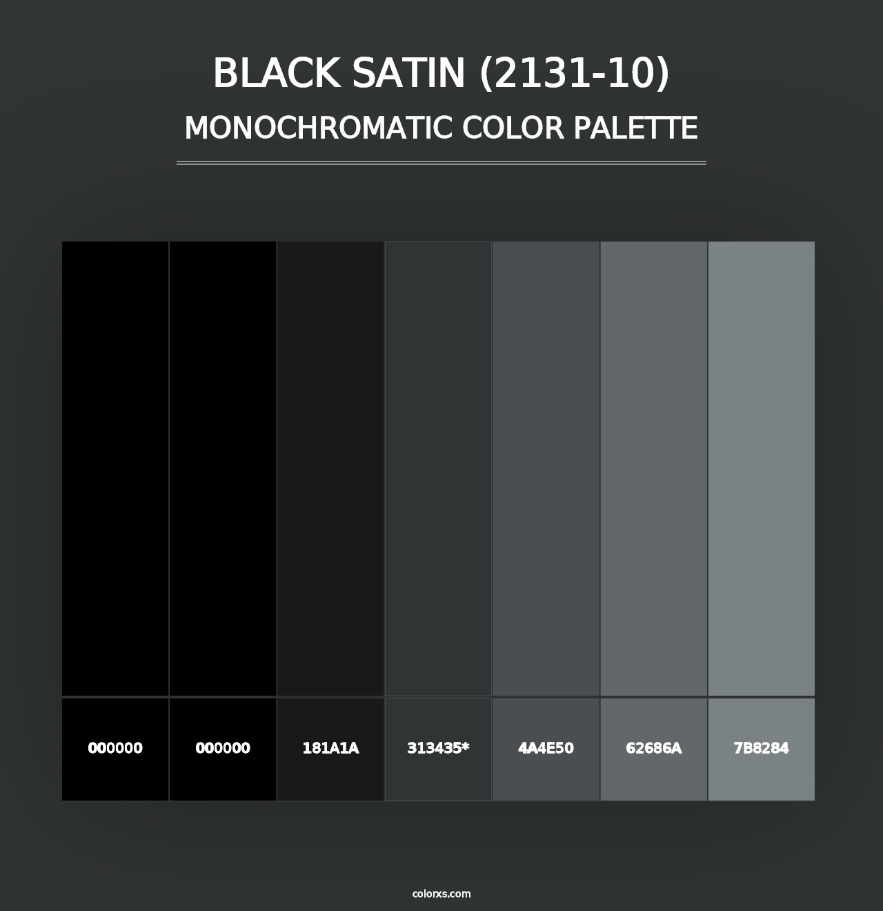 Black Satin (2131-10) - Monochromatic Color Palette