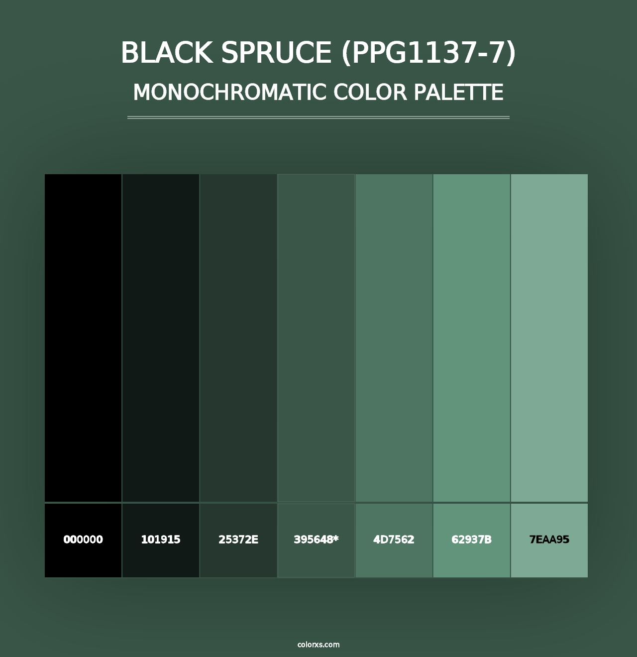 Black Spruce (PPG1137-7) - Monochromatic Color Palette