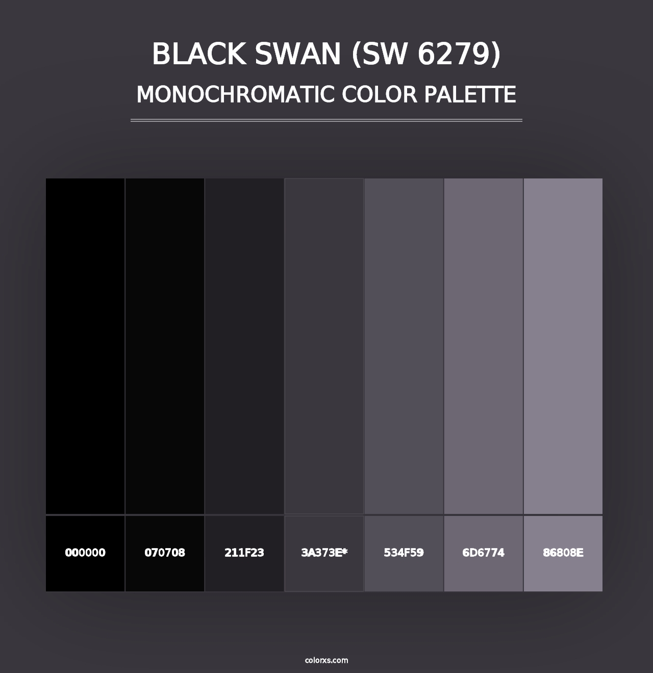 Black Swan (SW 6279) - Monochromatic Color Palette