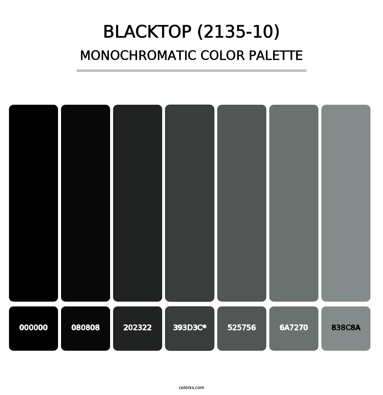 Blacktop (2135-10) - Monochromatic Color Palette