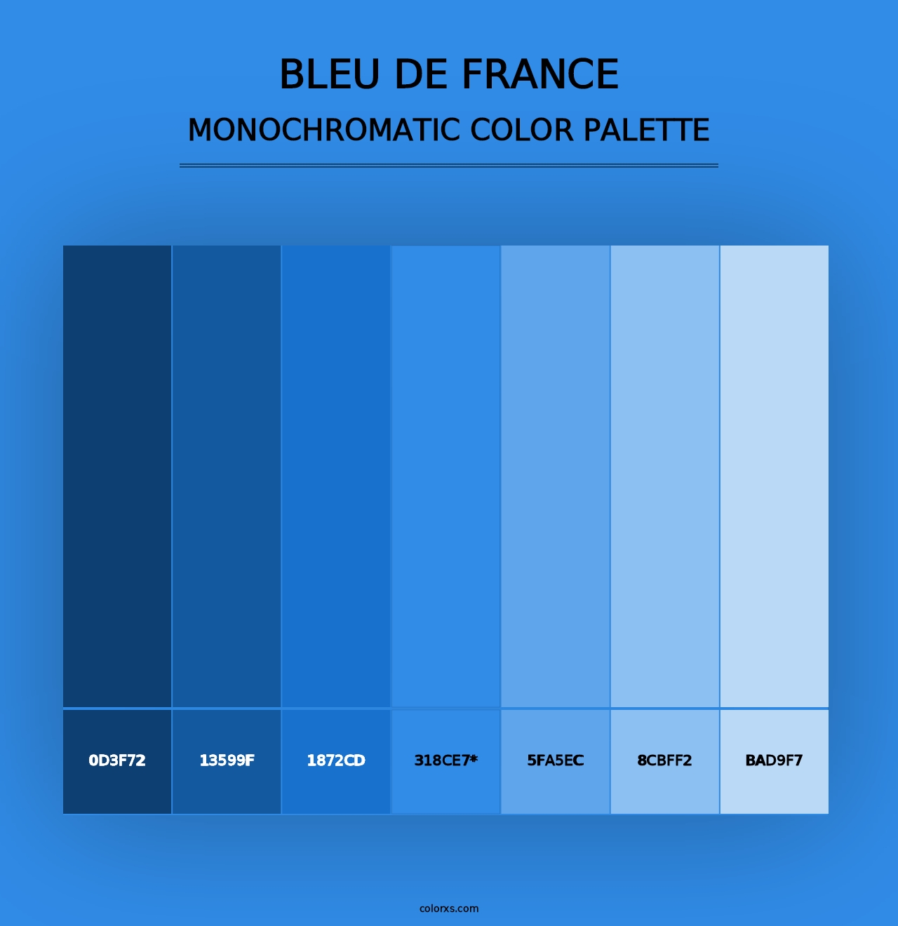 Bleu de France - Monochromatic Color Palette