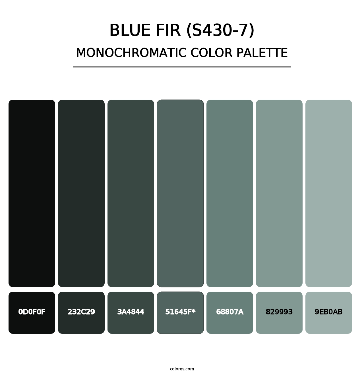 Blue Fir (S430-7) - Monochromatic Color Palette