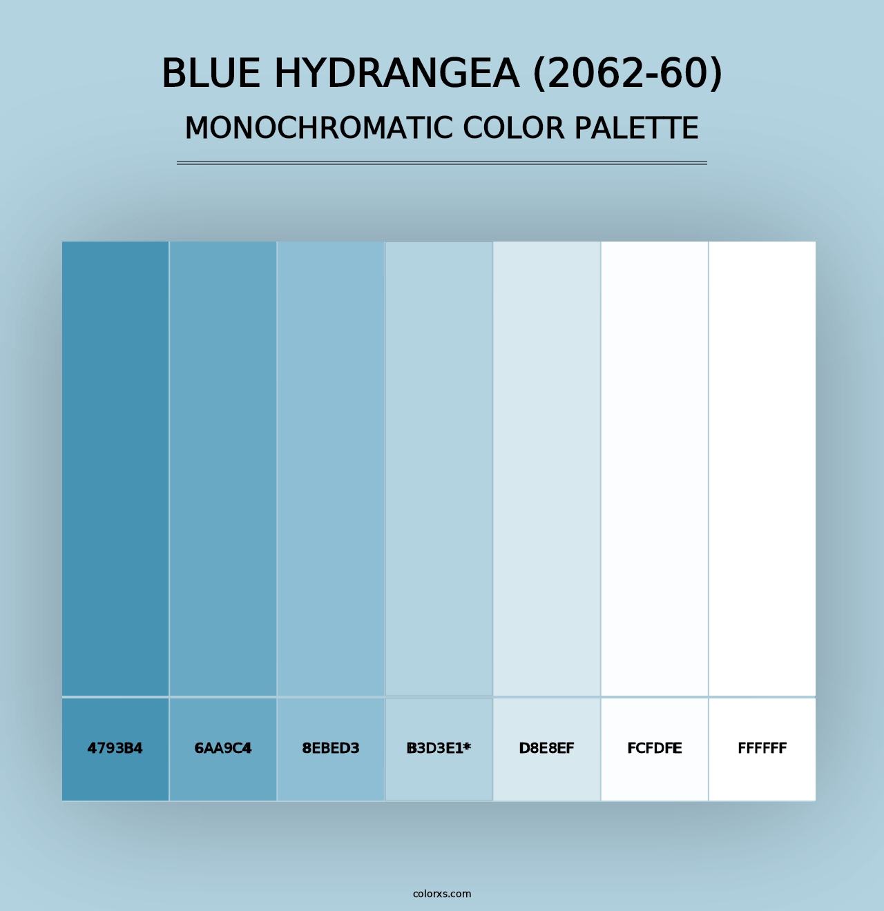 Blue Hydrangea (2062-60) - Monochromatic Color Palette