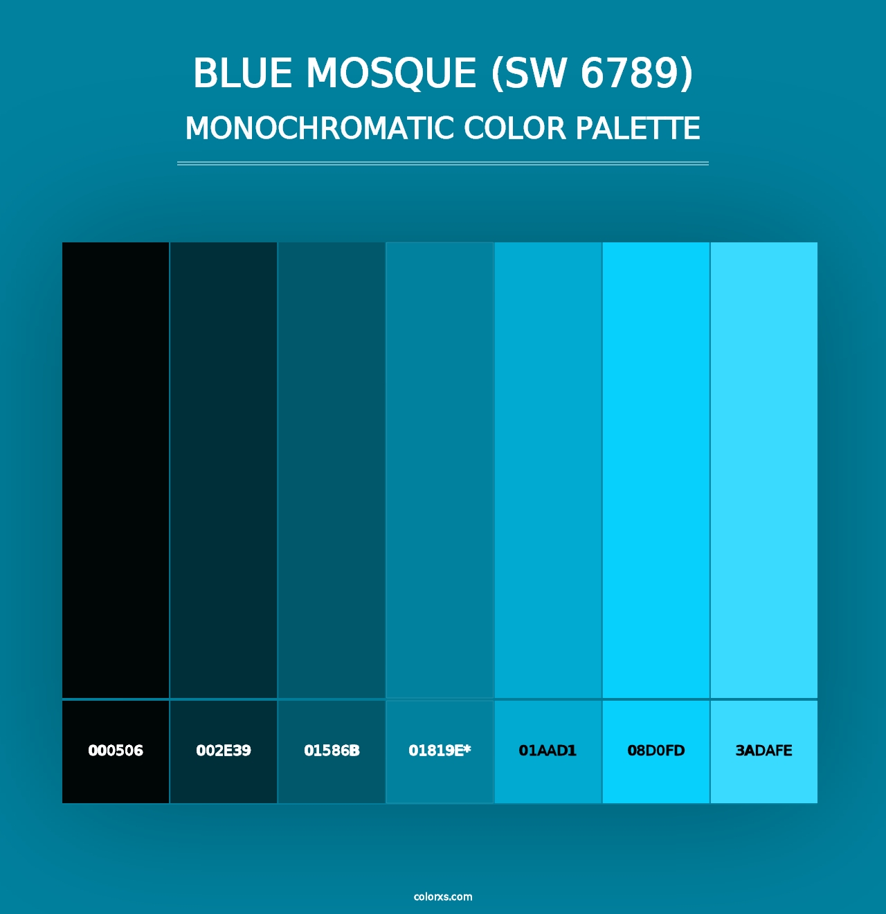 Blue Mosque (SW 6789) - Monochromatic Color Palette