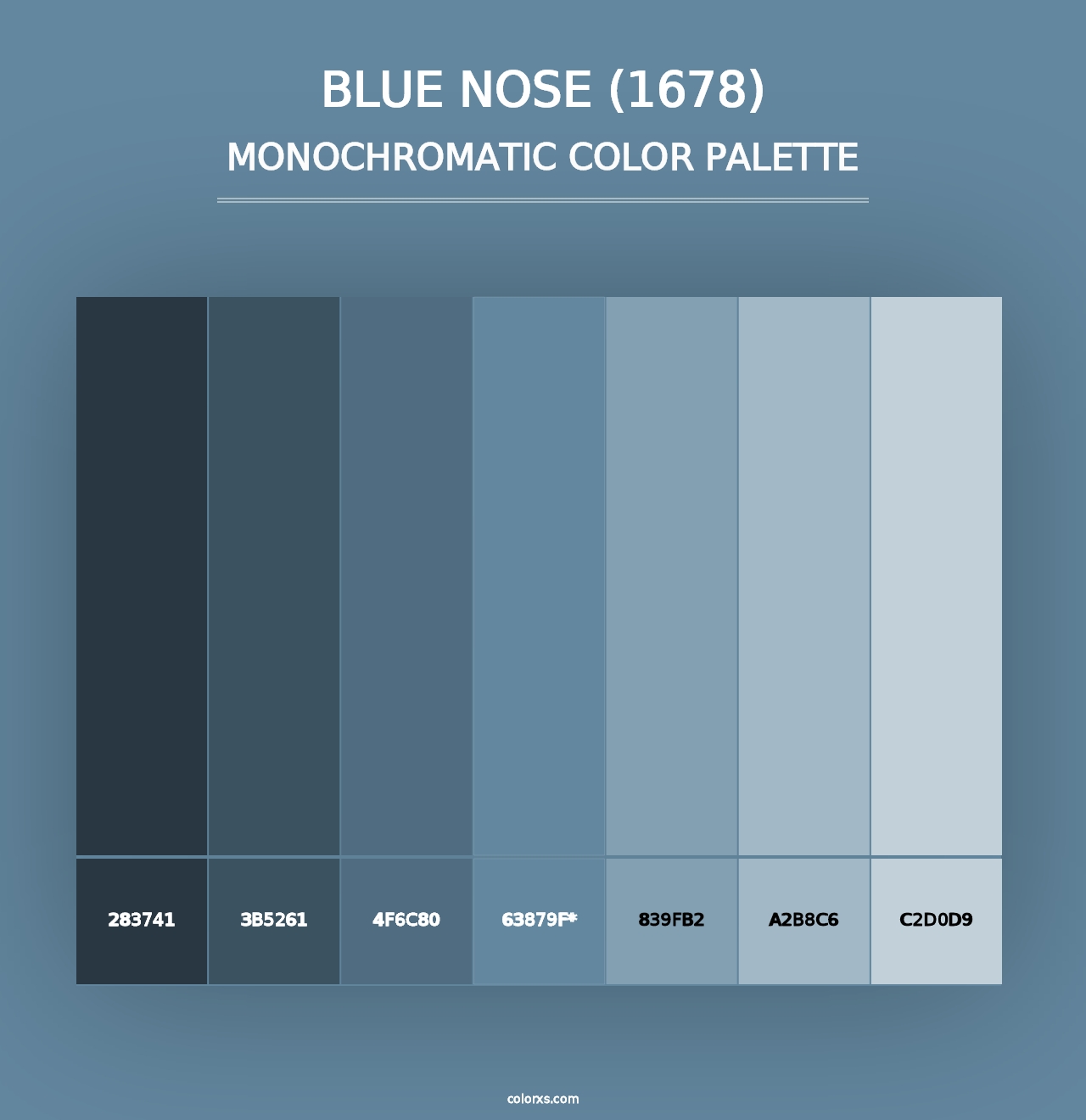 Blue Nose (1678) - Monochromatic Color Palette