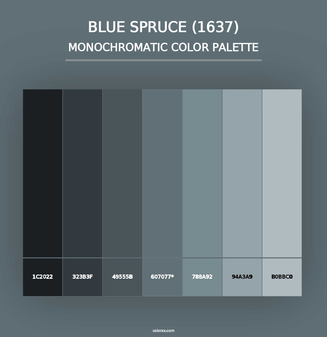 Blue Spruce (1637) - Monochromatic Color Palette