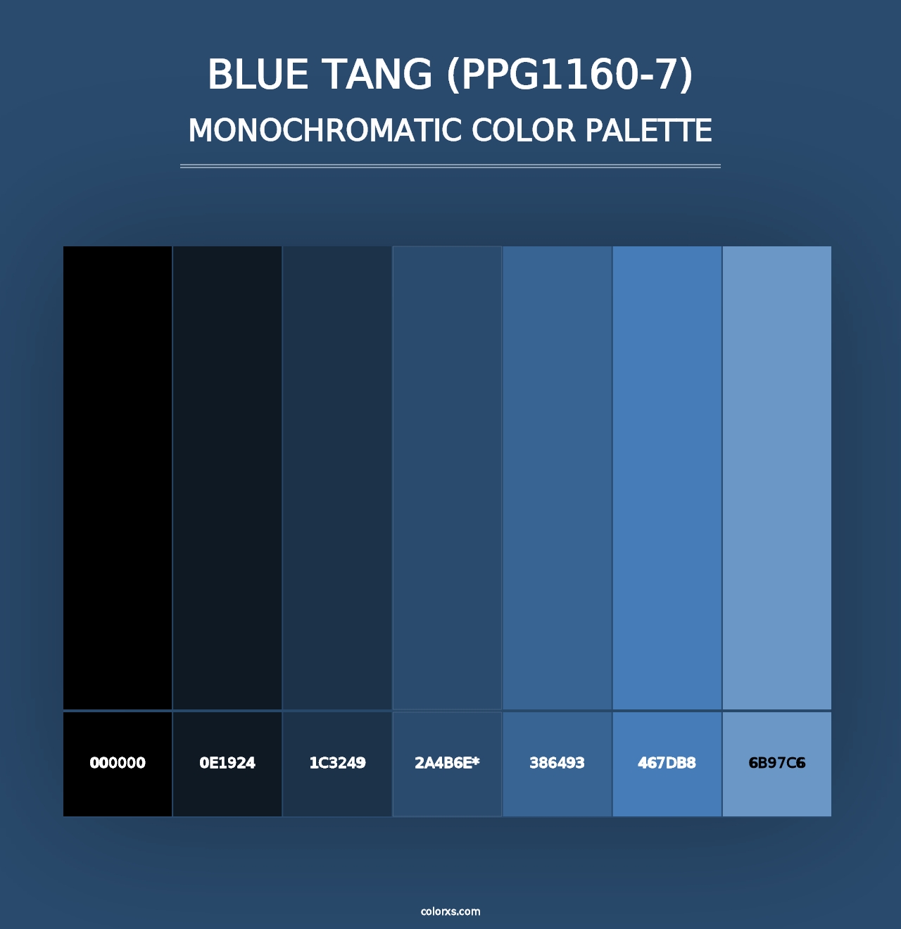 Blue Tang (PPG1160-7) - Monochromatic Color Palette