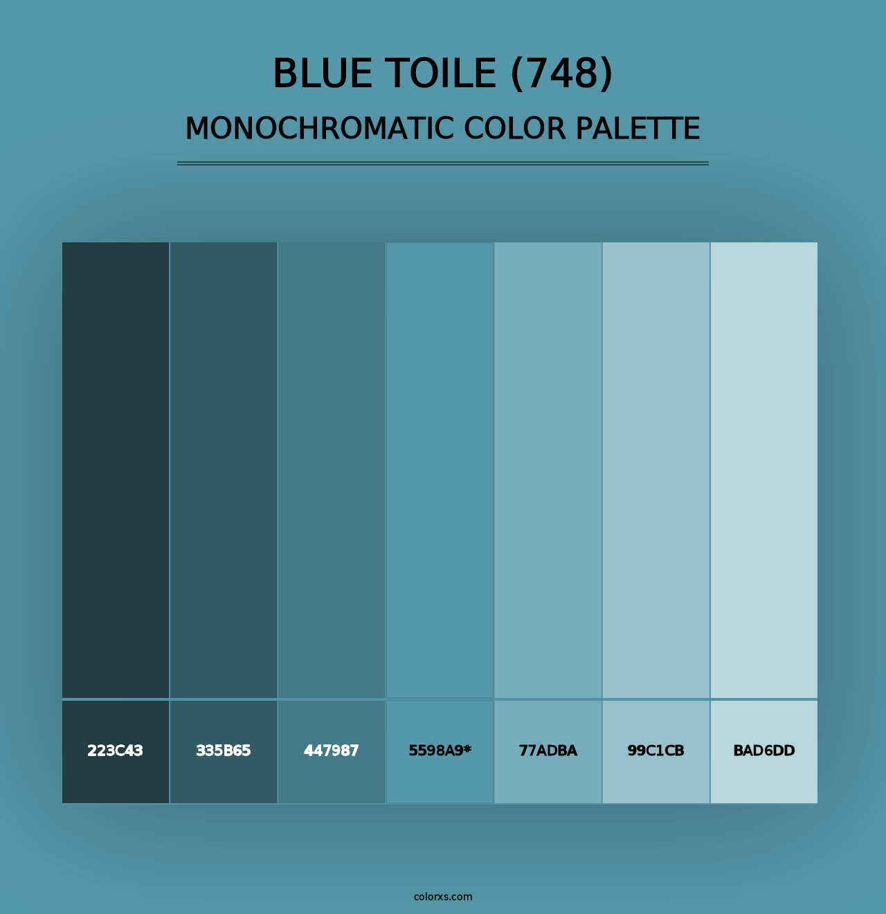 Blue Toile (748) - Monochromatic Color Palette