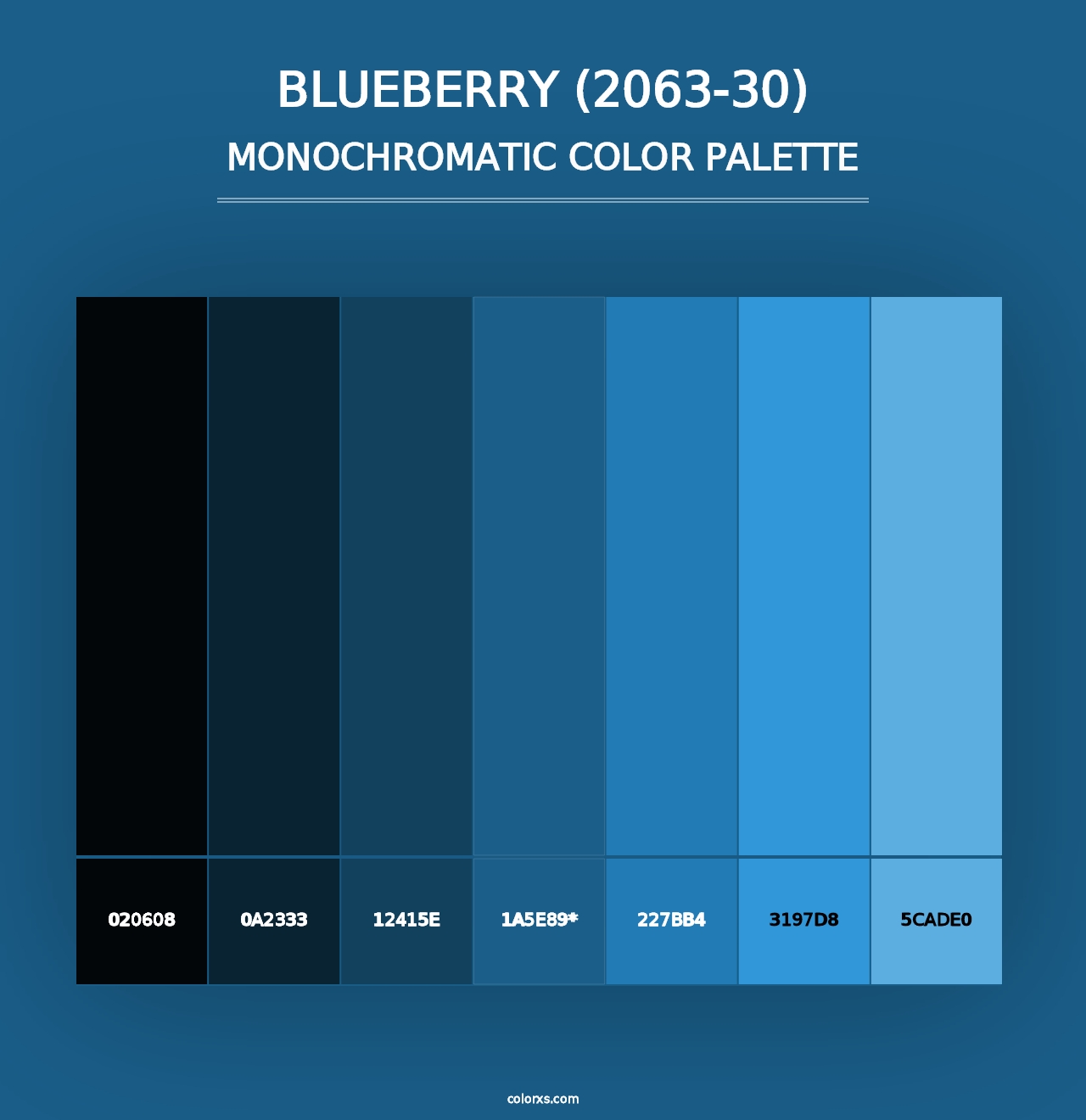 Blueberry (2063-30) - Monochromatic Color Palette